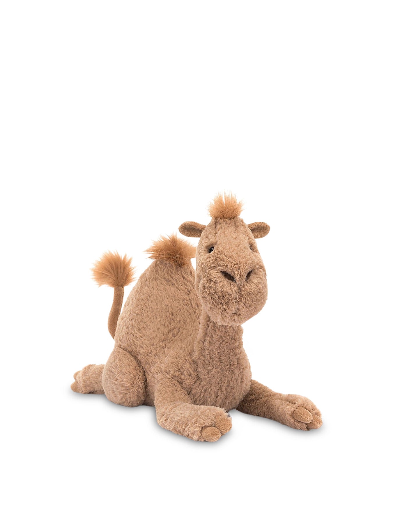 Richie Dromedary