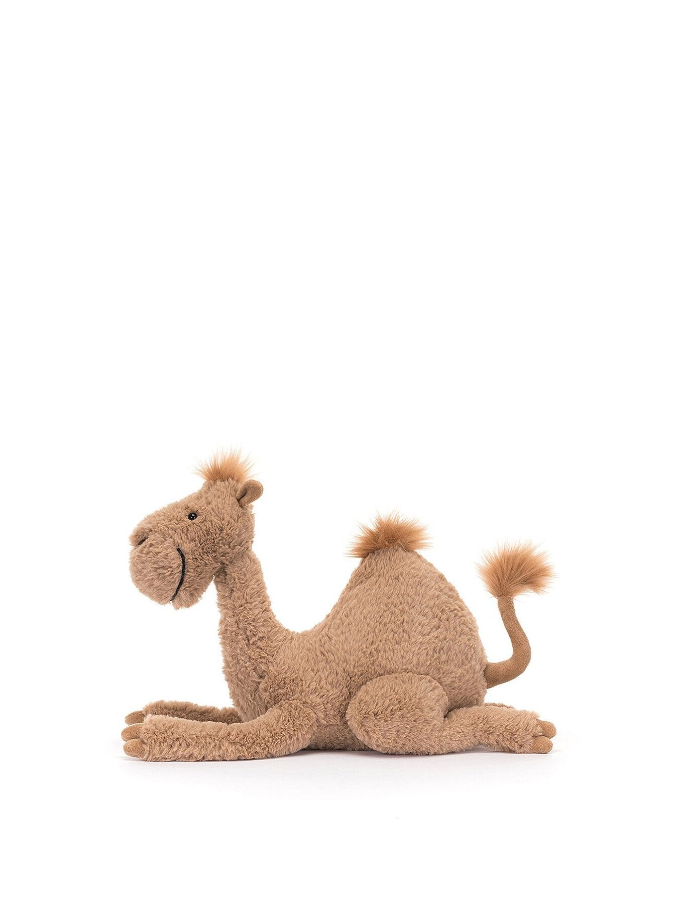 Richie Dromedary