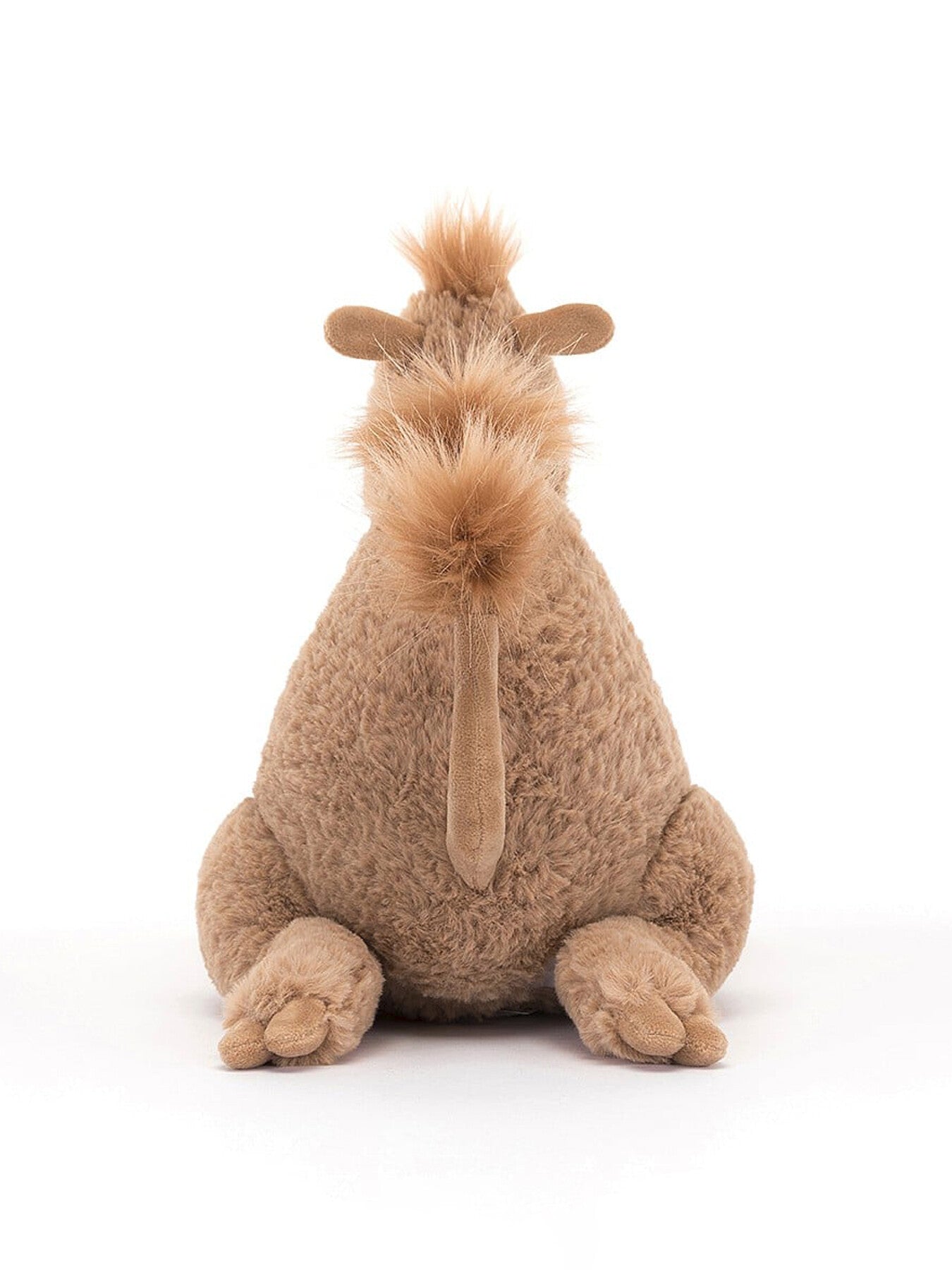 Richie Dromedary