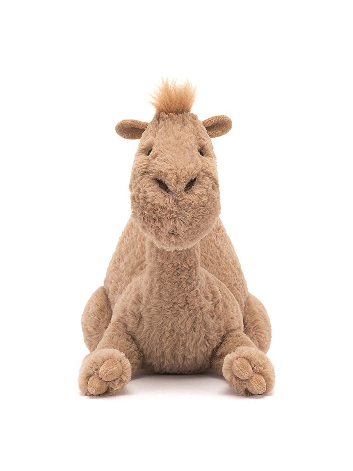 Richie Dromedary