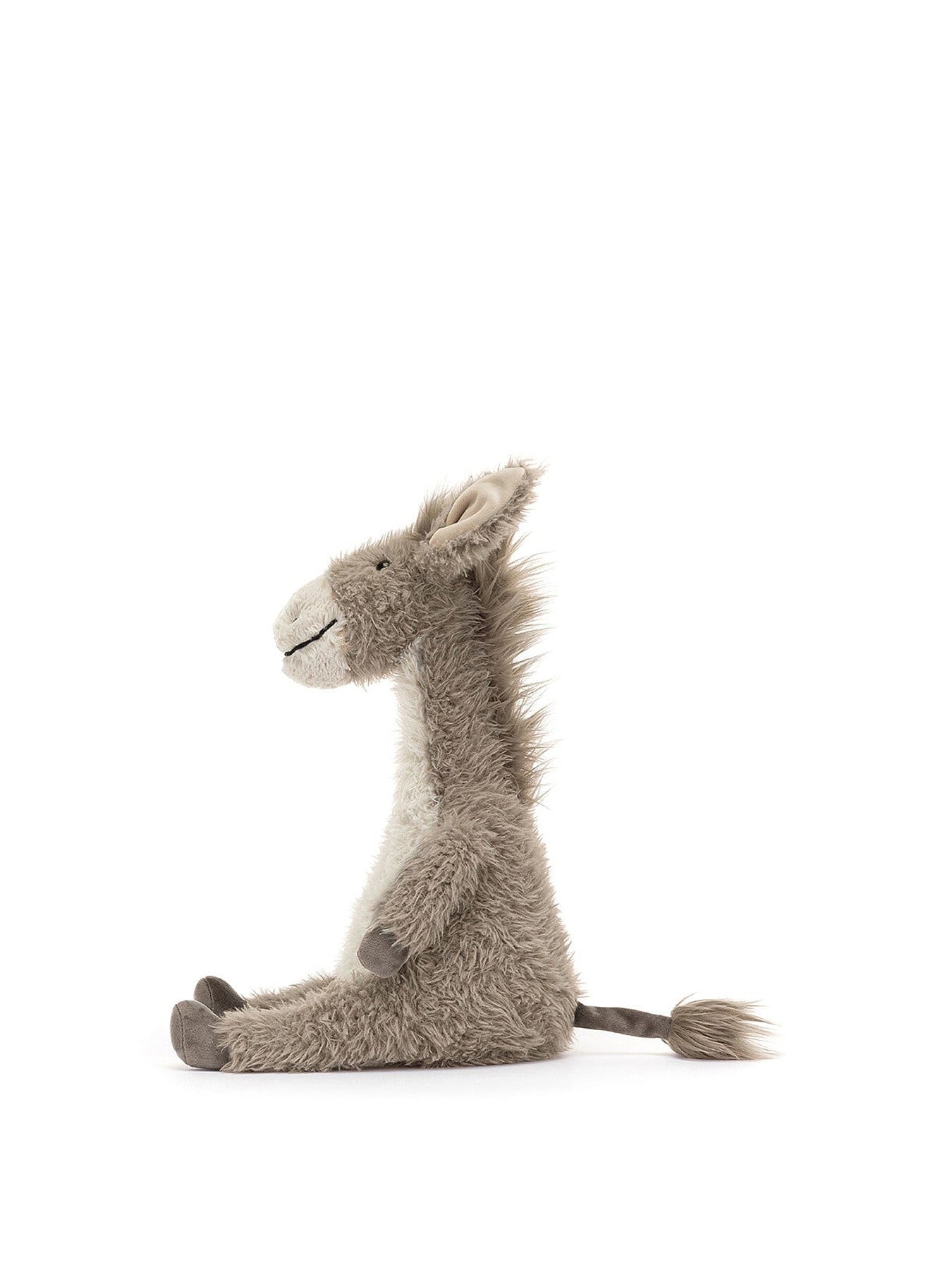 Dario Donkey