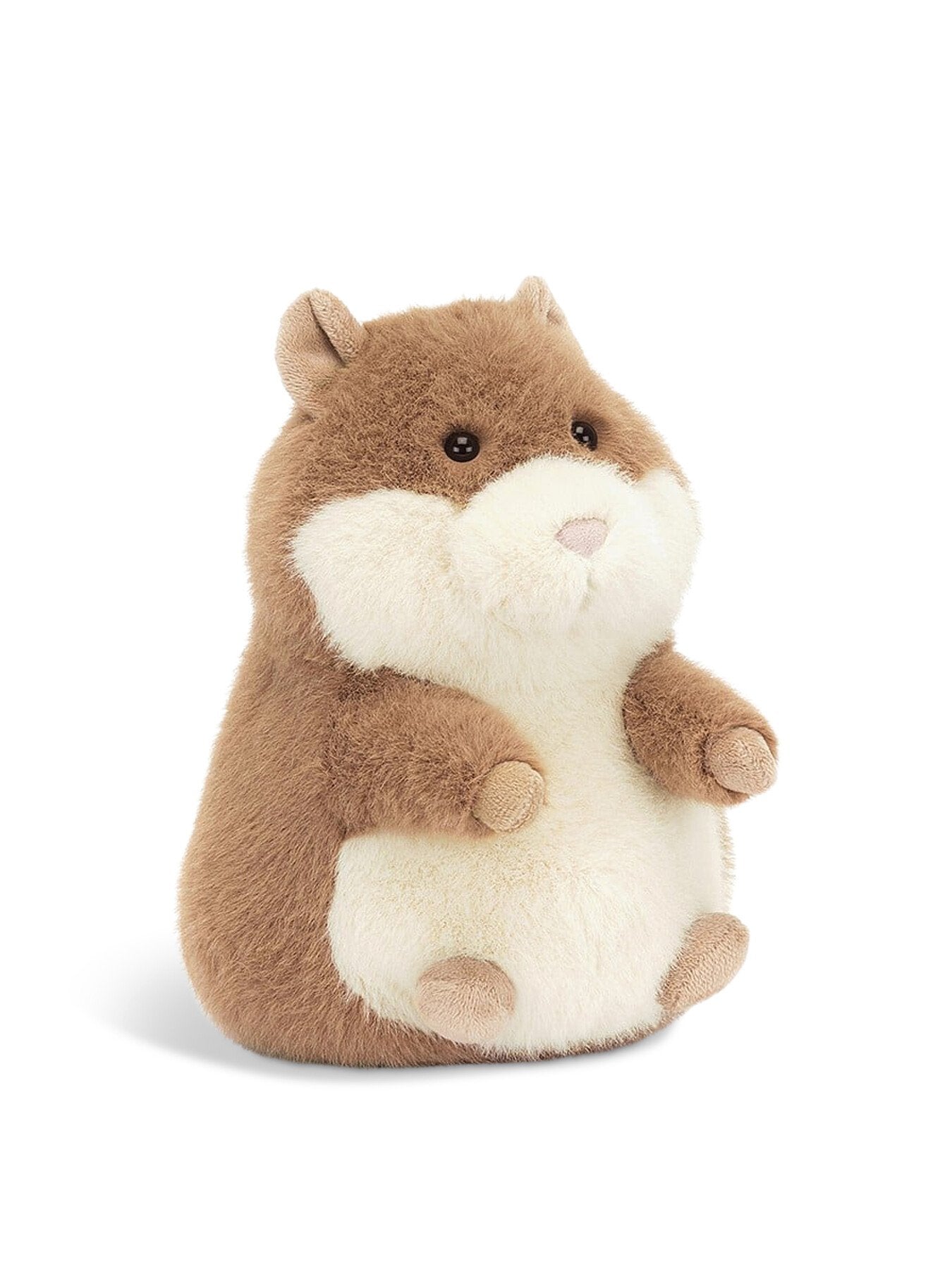 Gordy Guinea Pig