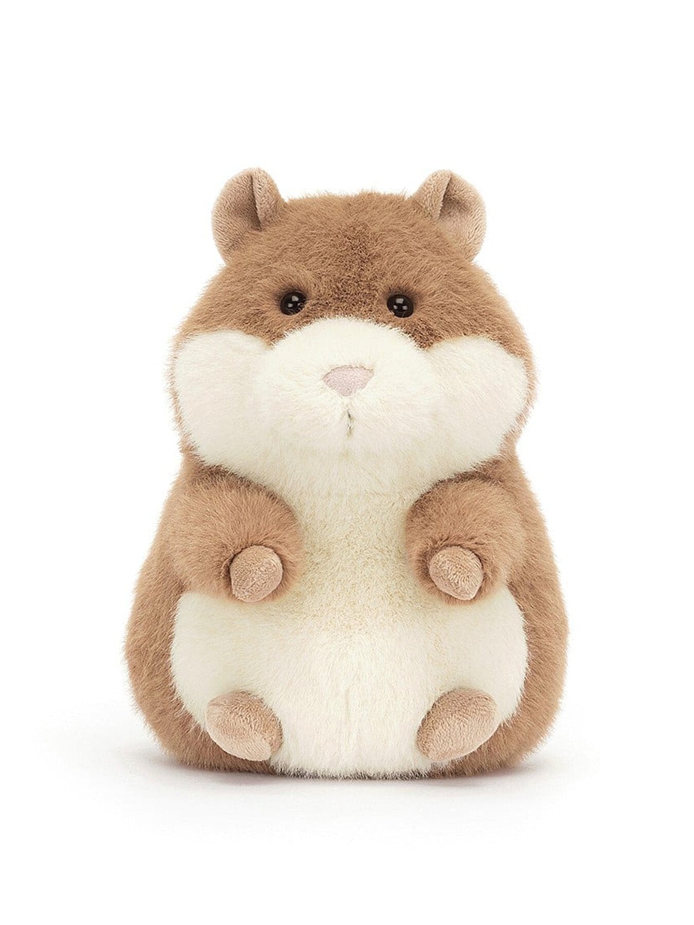 Gordy Guinea Pig