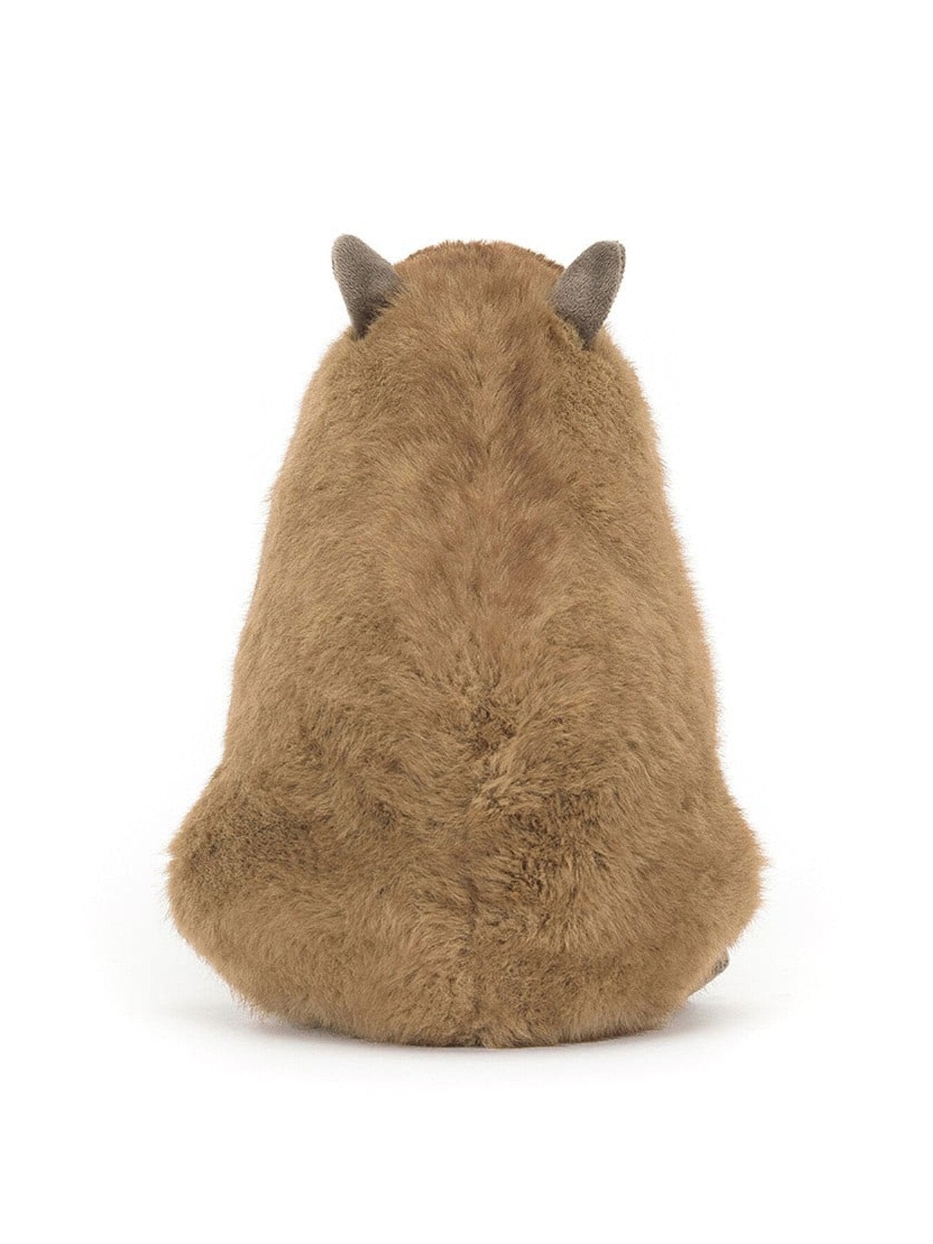 Clyde Capybara