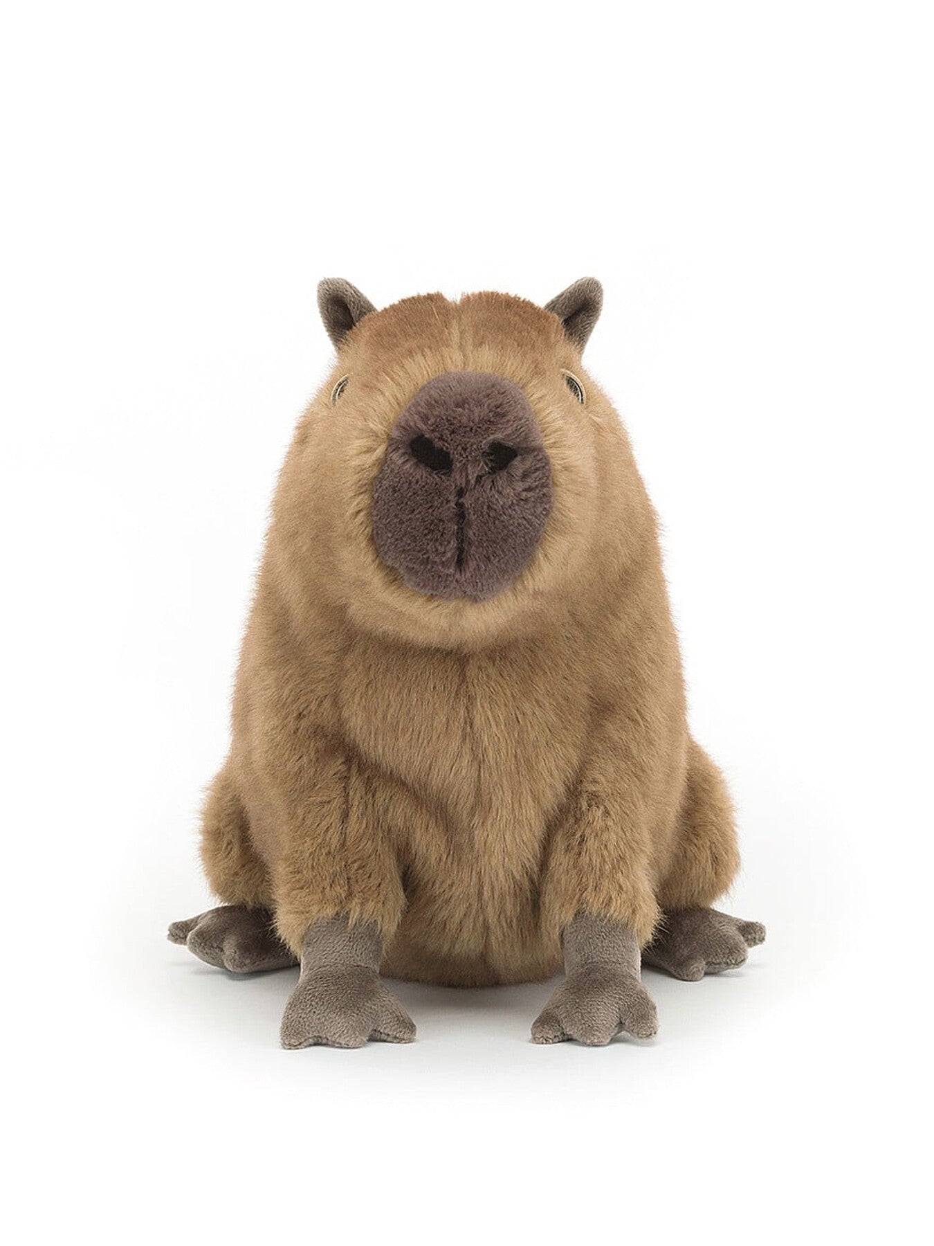 Clyde Capybara