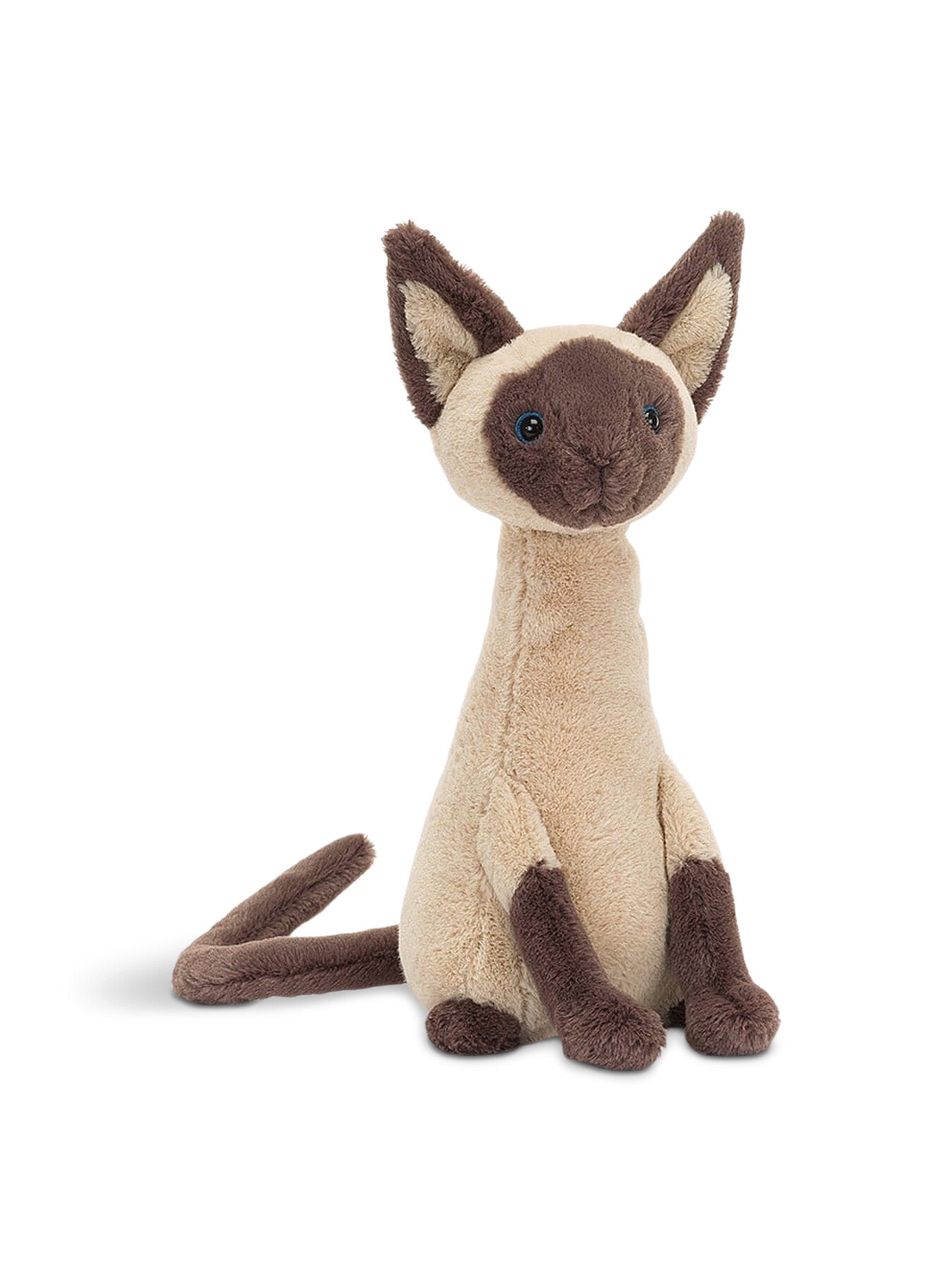 Iris Siamese Cat