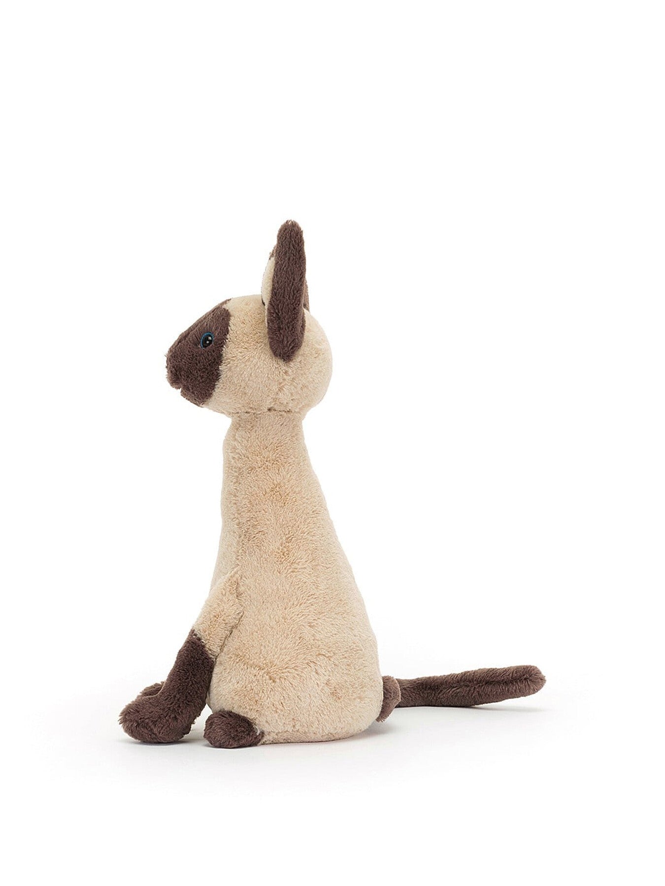 Iris Siamese Cat