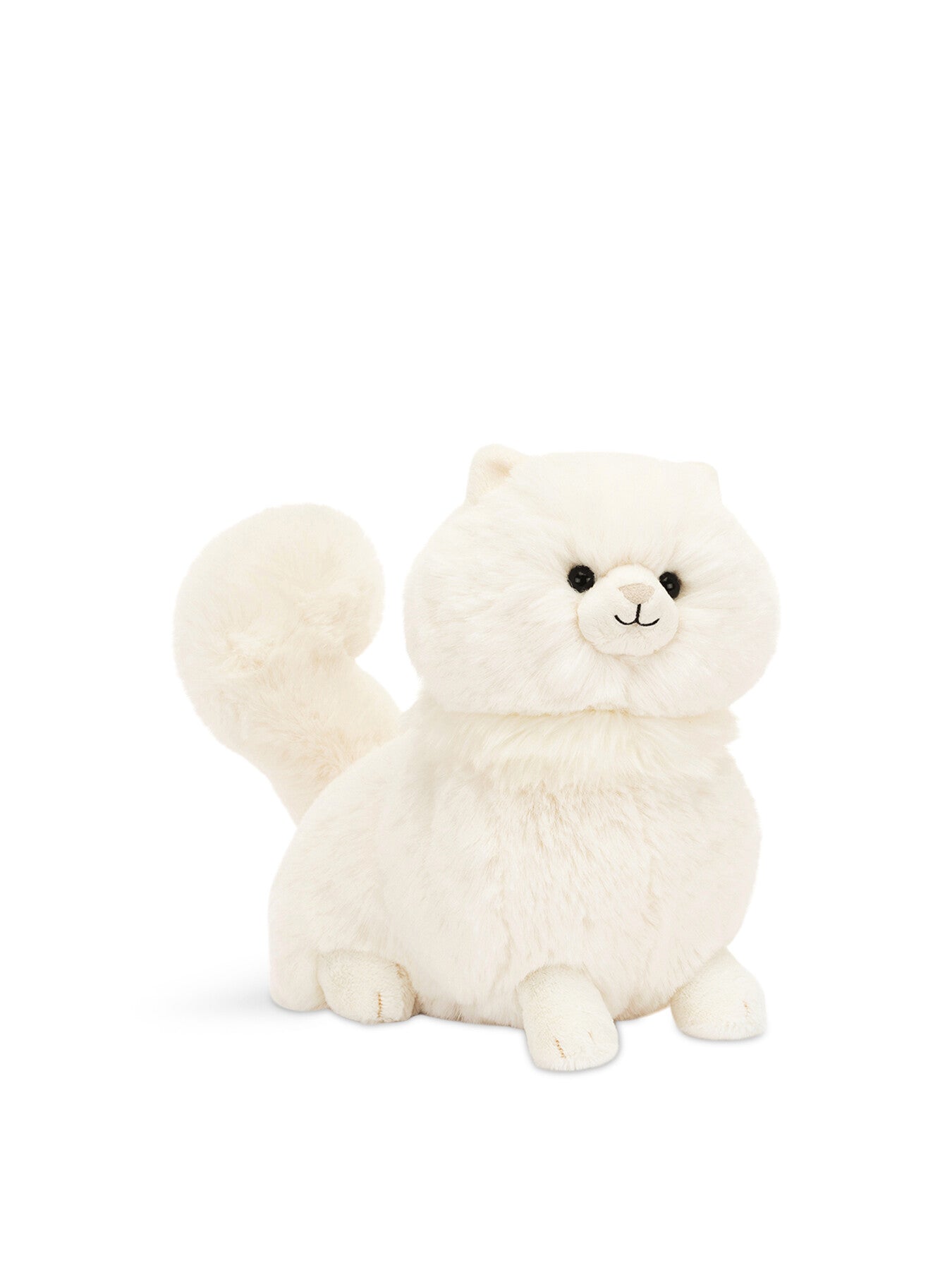 Carissa Persian Cat