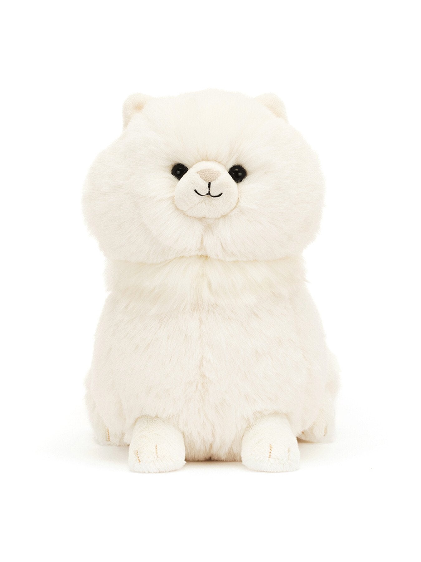 Carissa Persian Cat