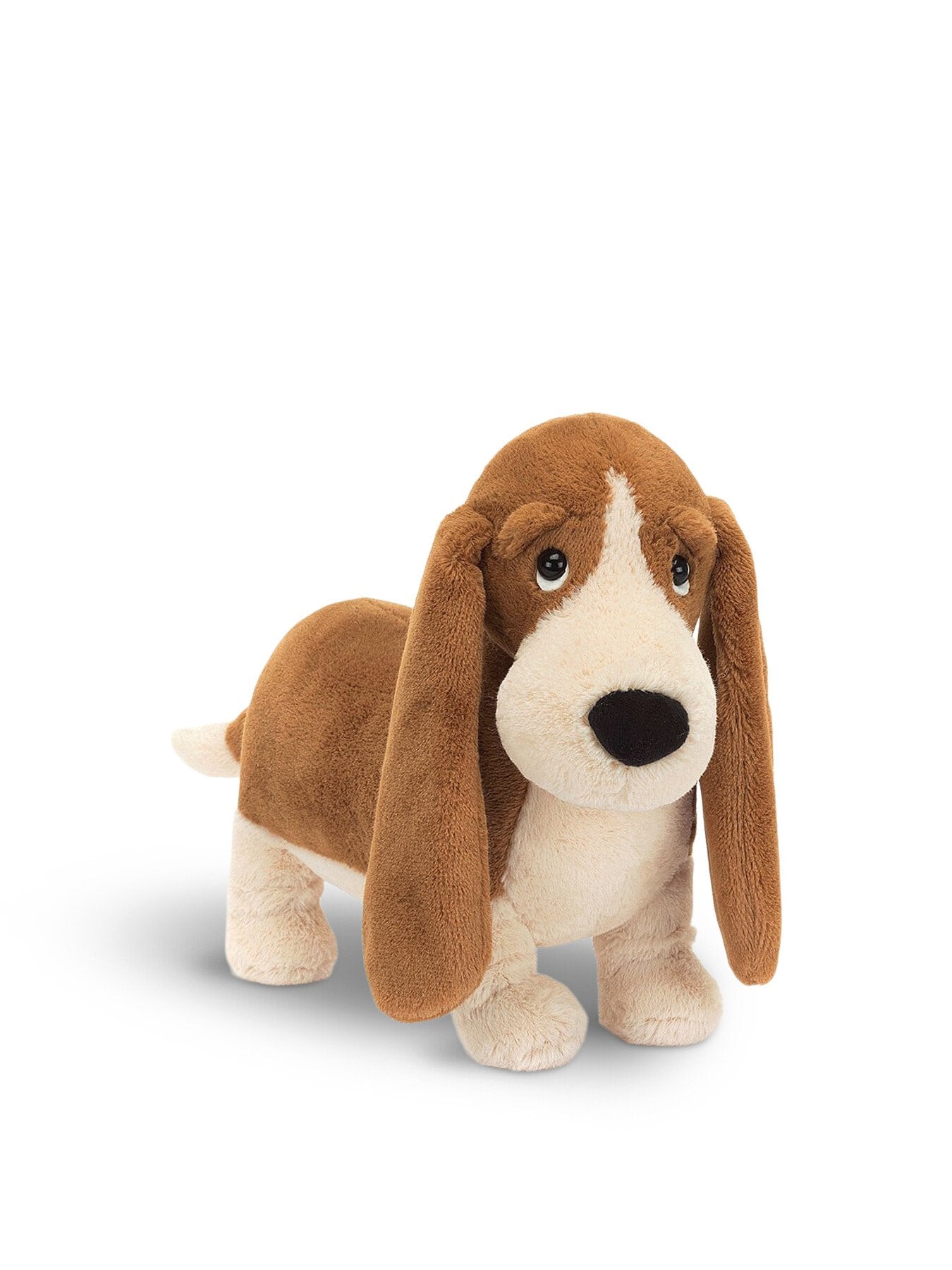 Randall Basset Hound