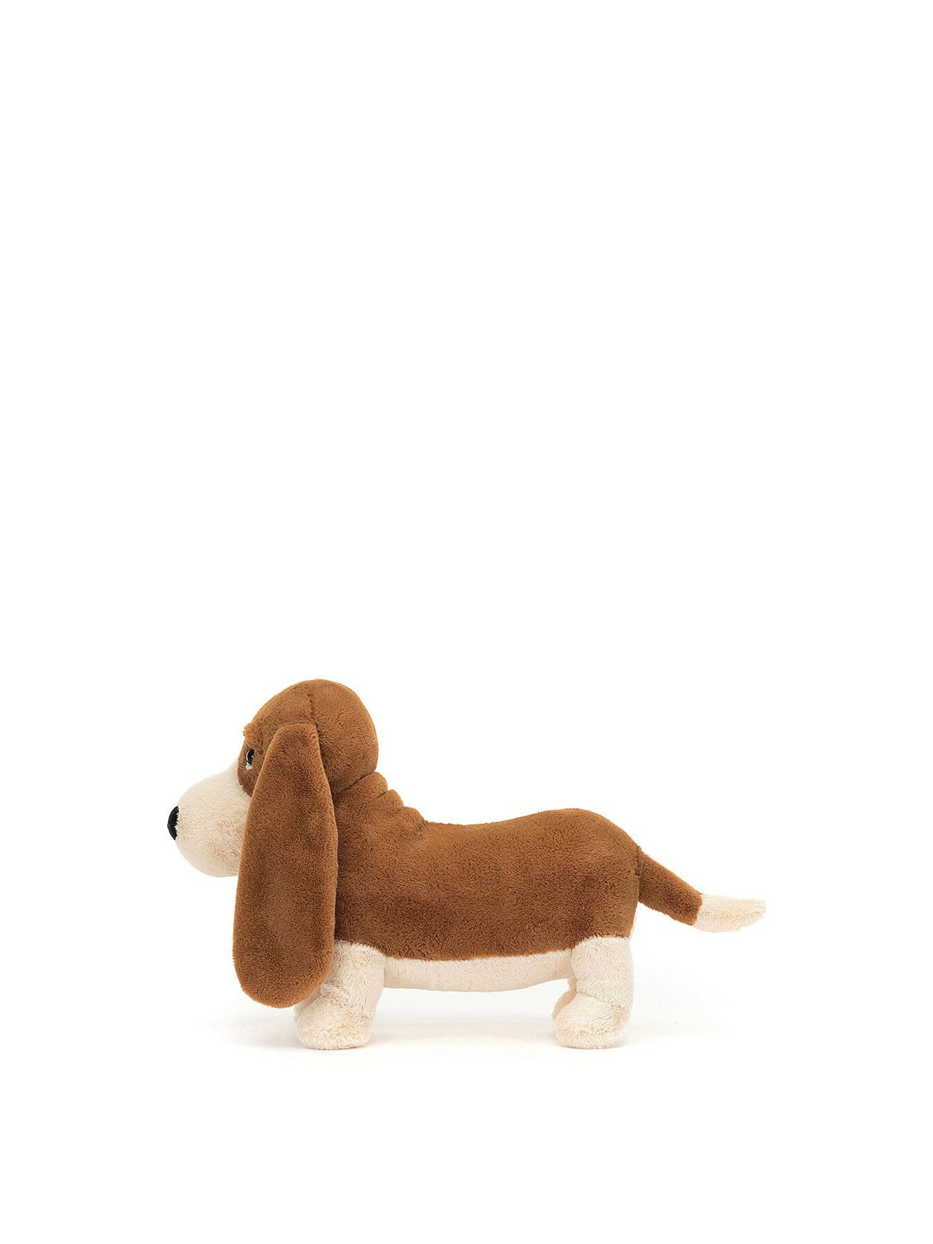 Randall Basset Hound