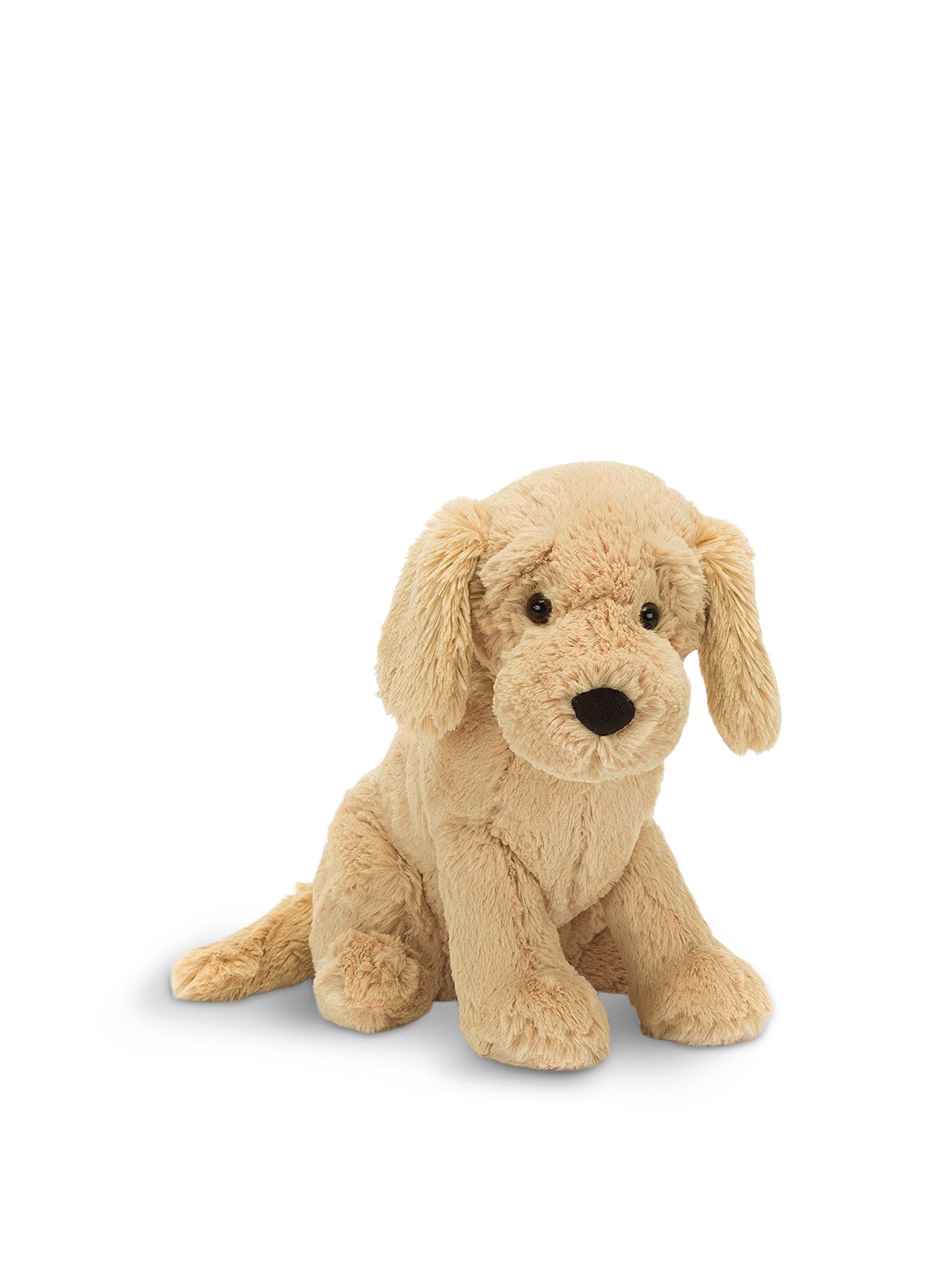 Tilly Golden Retriever