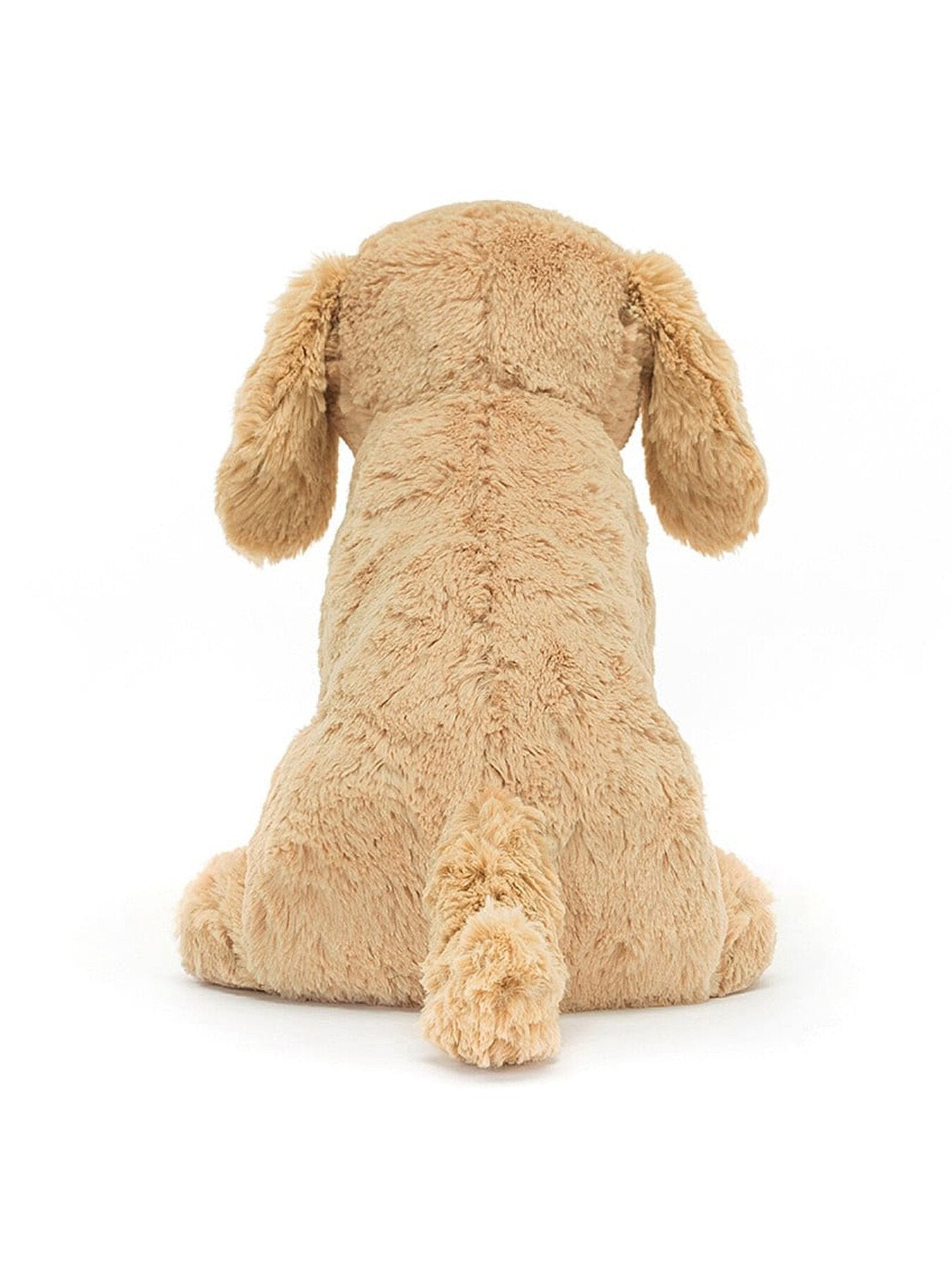Tilly Golden Retriever