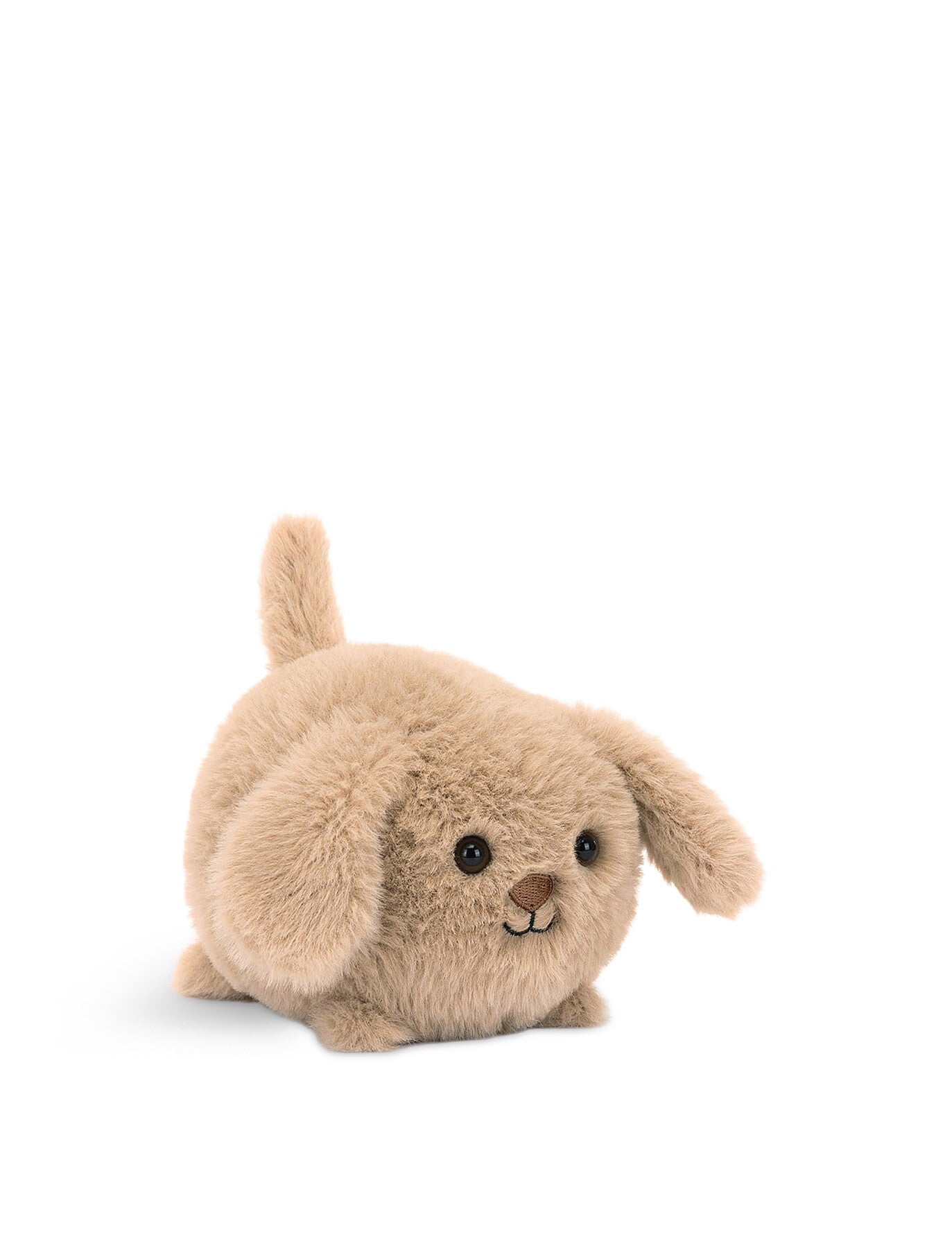 Caboodle Puppy