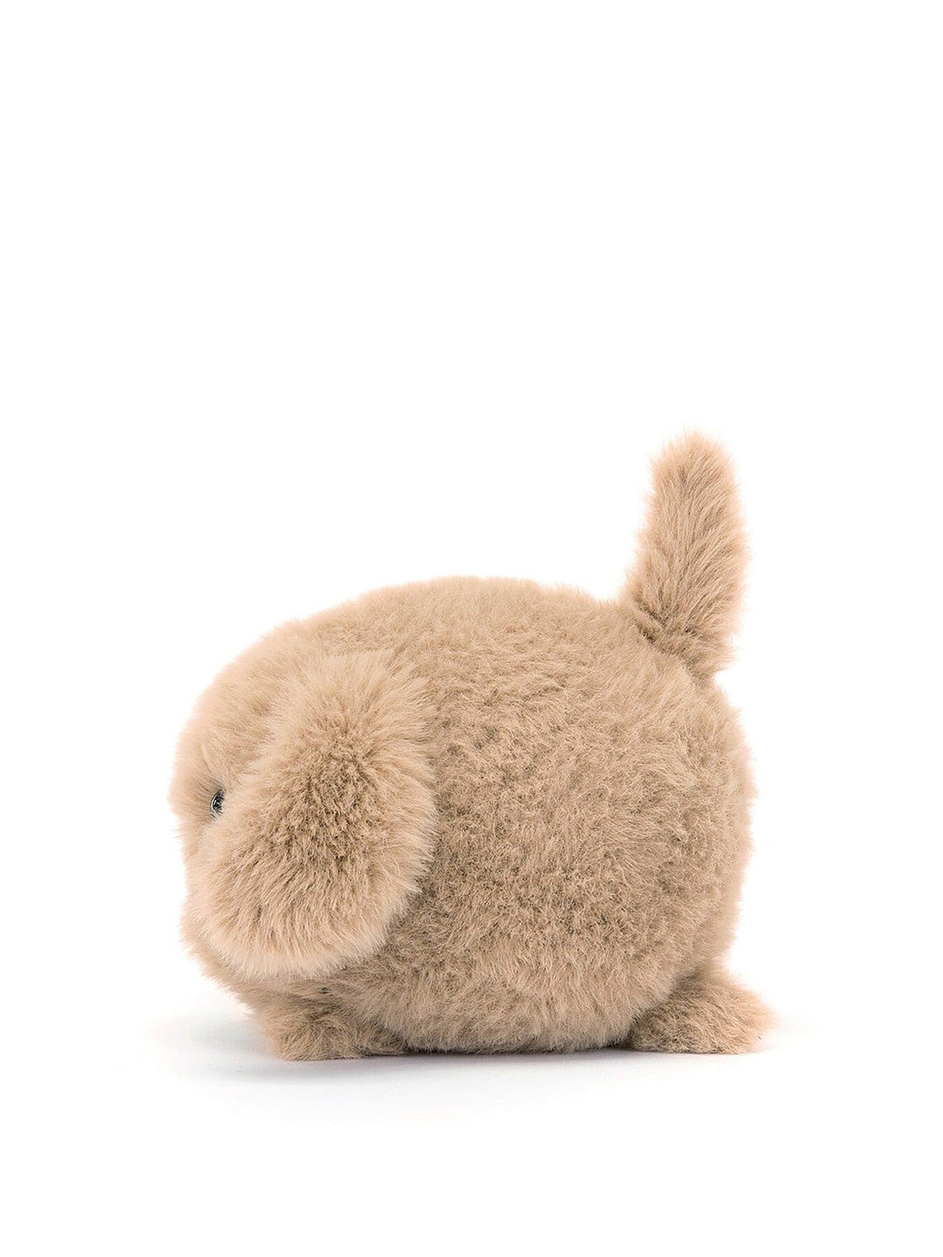 Caboodle Puppy