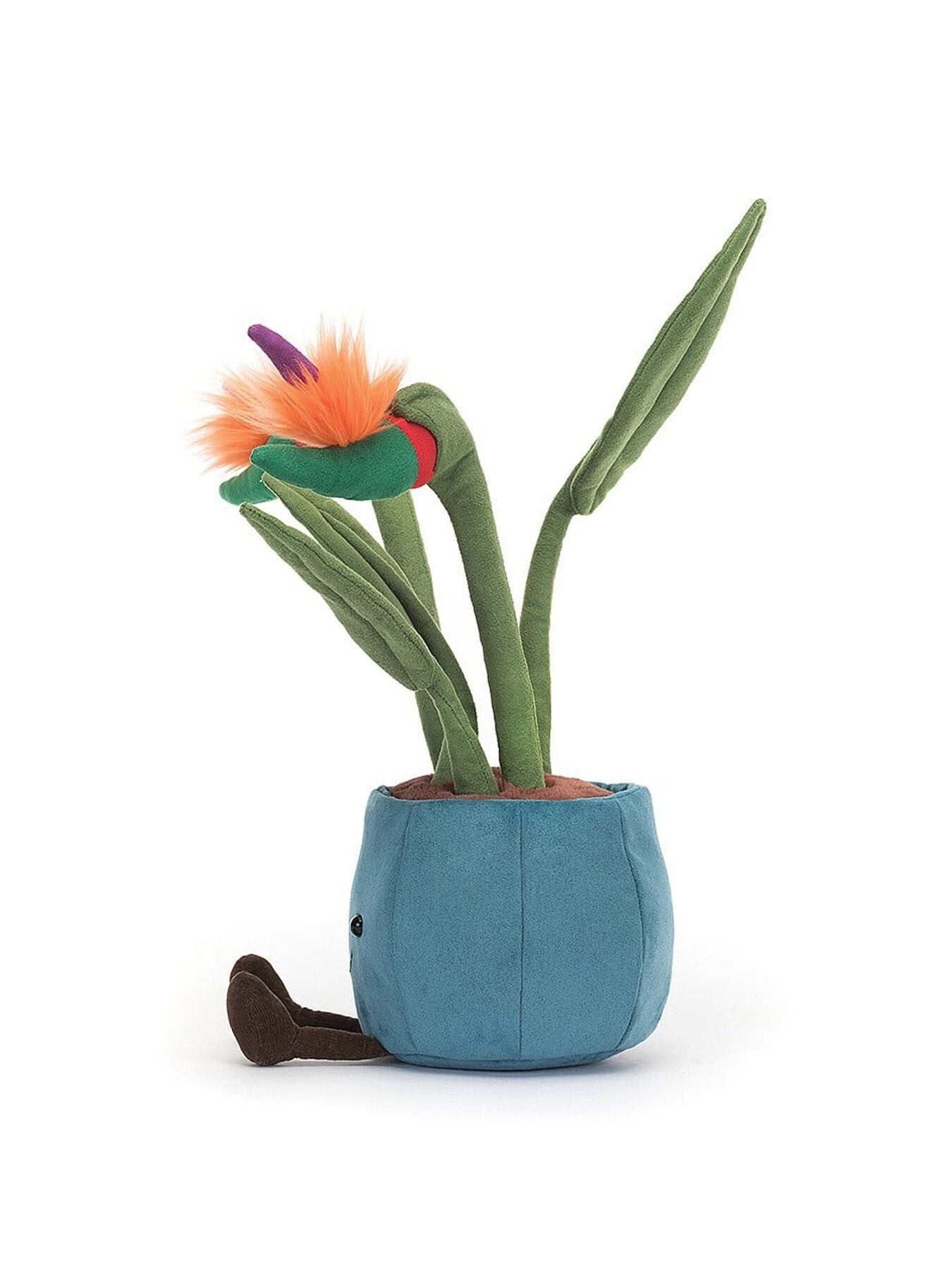 Amuseable Bird of Paradise
