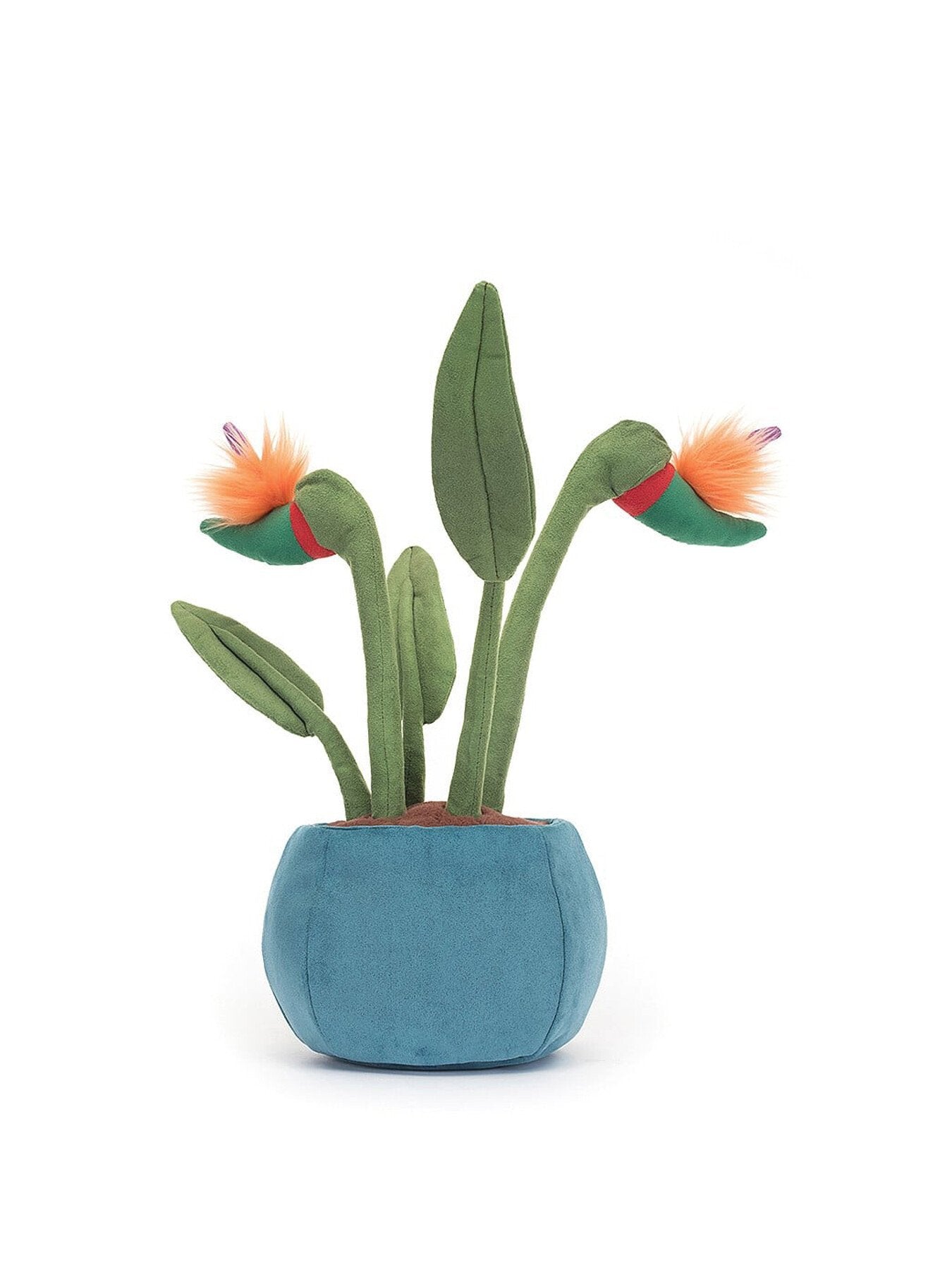 Amuseable Bird of Paradise