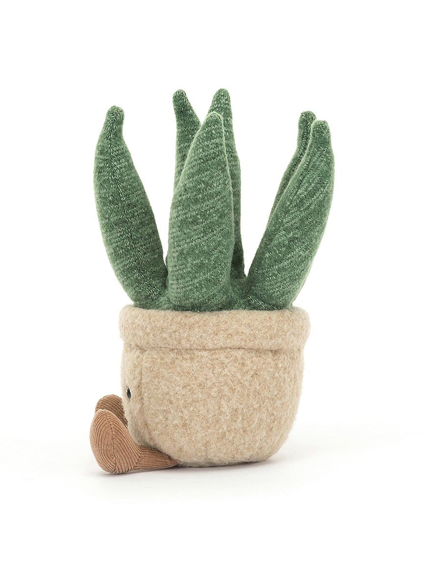 Amuseable Aloe Vera Small