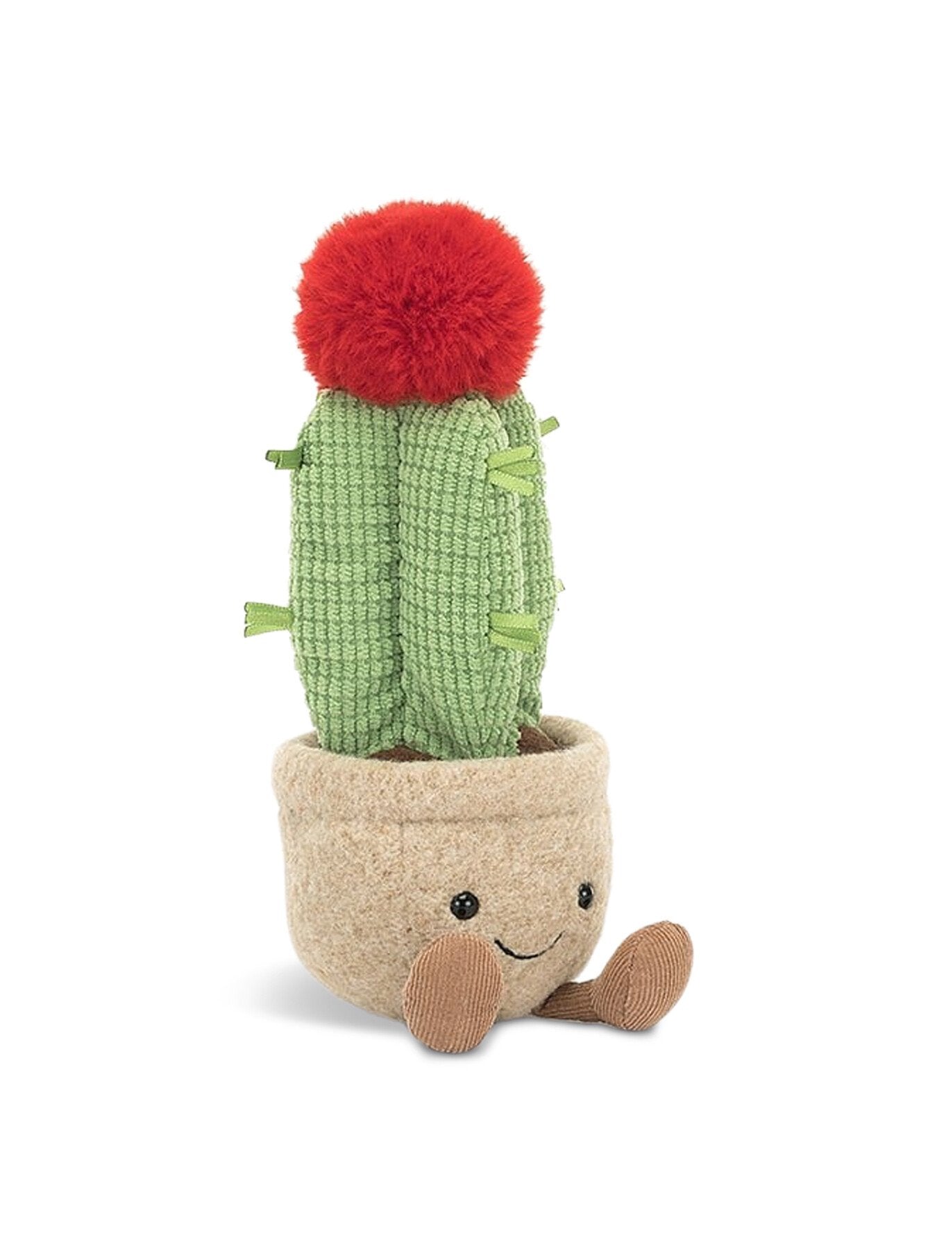 Amuseable Moon Cactus