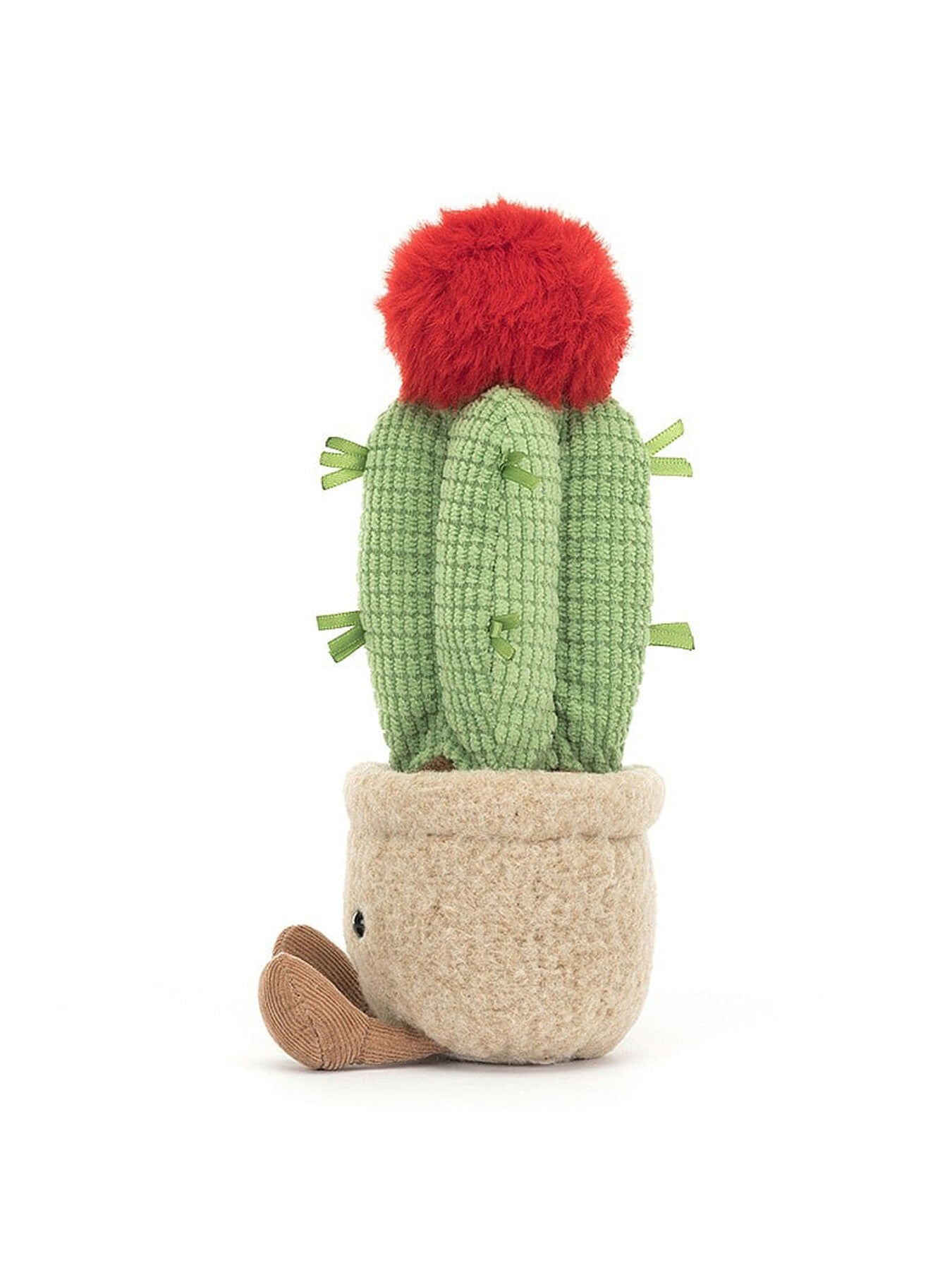 Amuseable Moon Cactus