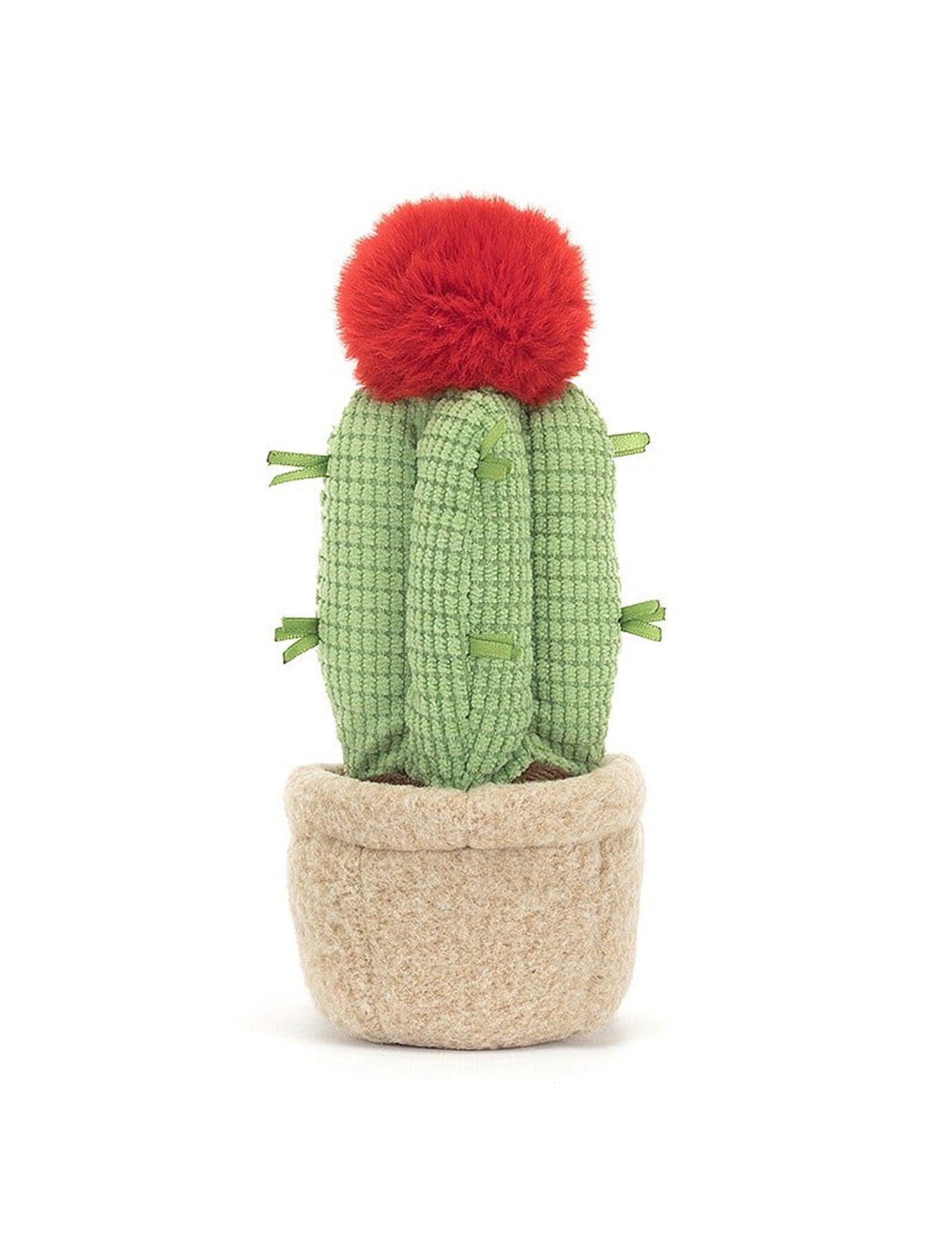 Amuseable Moon Cactus