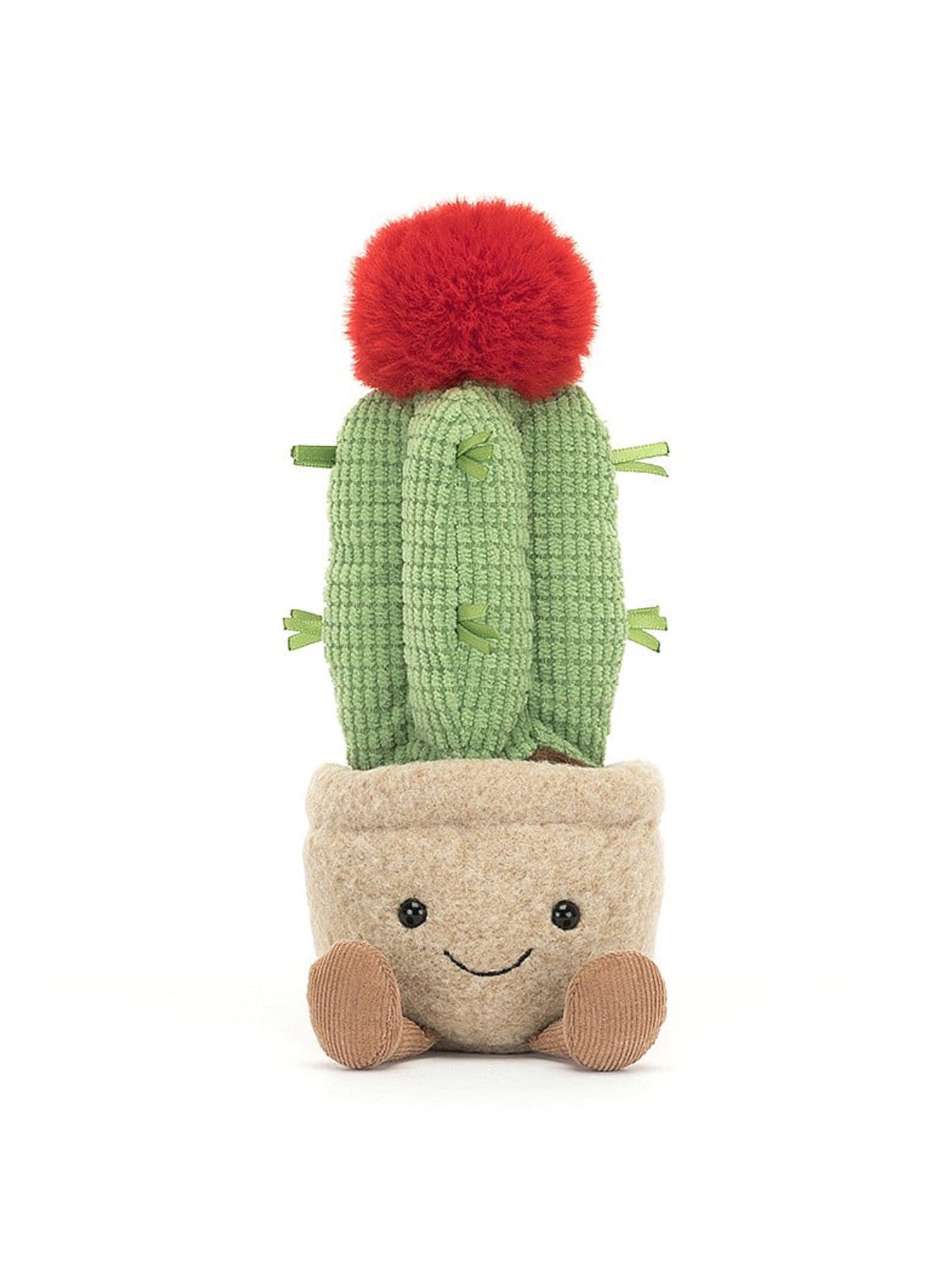 Amuseable Moon Cactus
