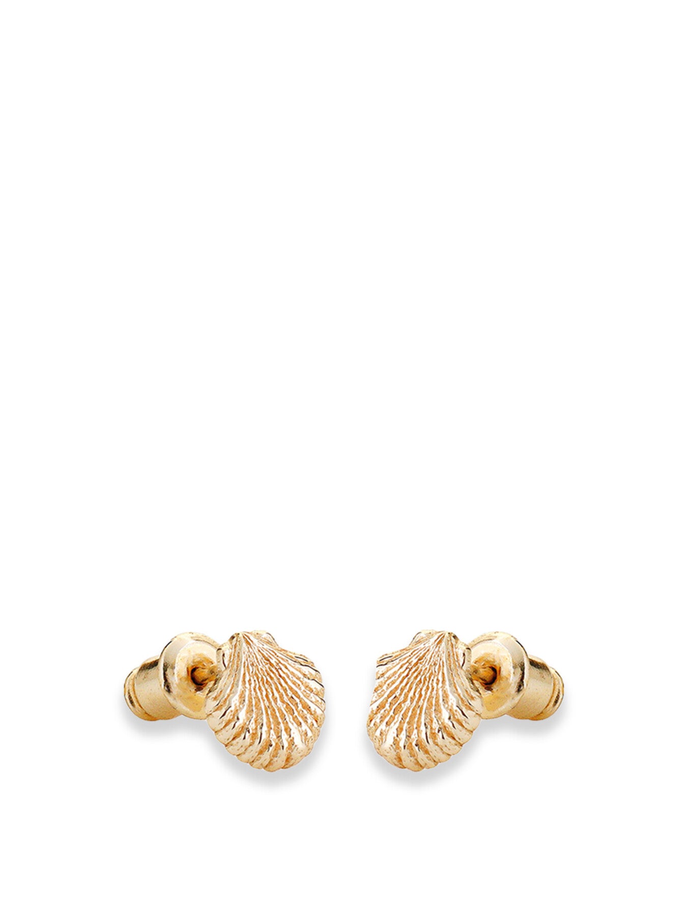 Shell Earrings