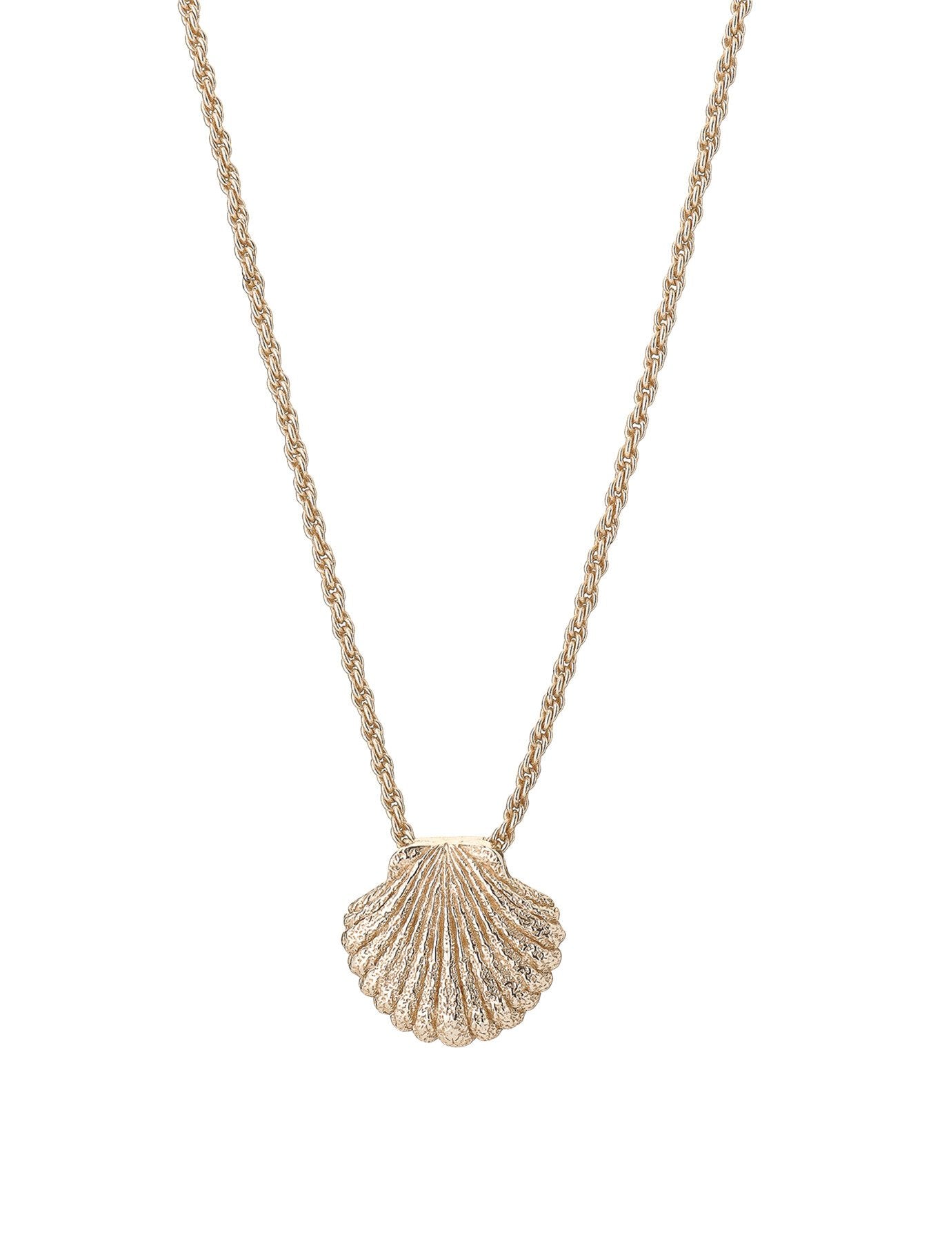 Shell Necklace