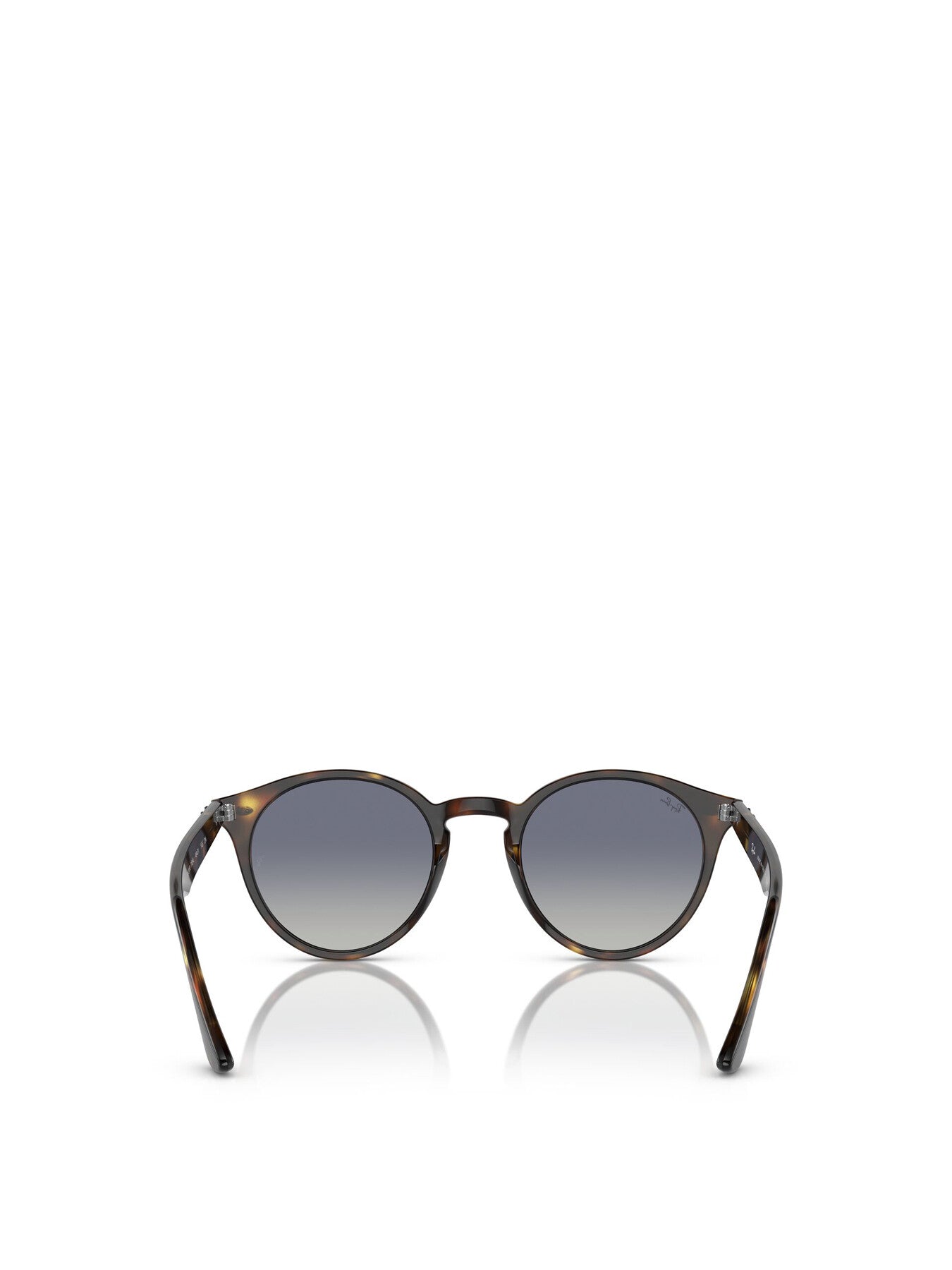 RB2180 Round Acetate Sunglasses