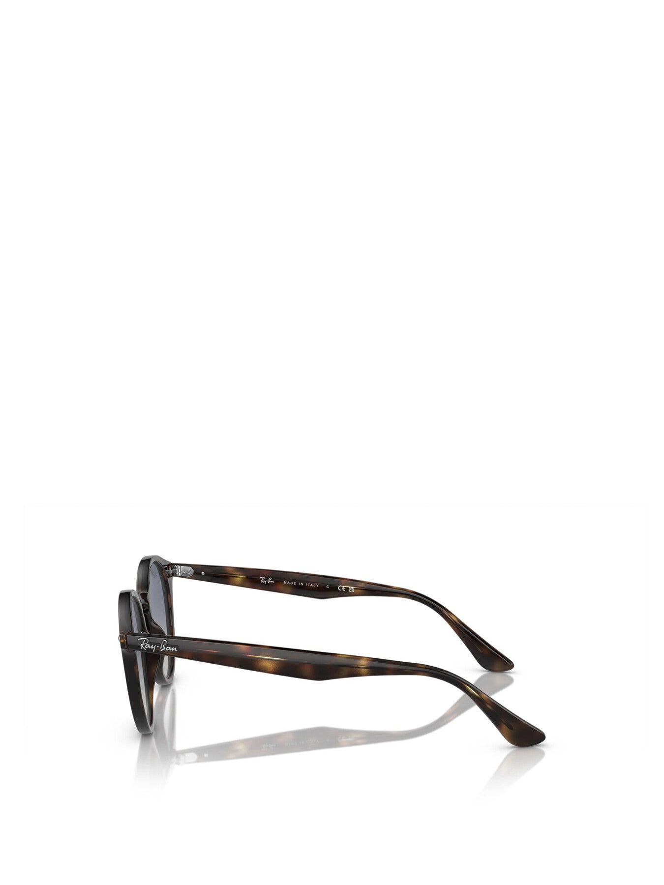 RB2180 Round Acetate Sunglasses