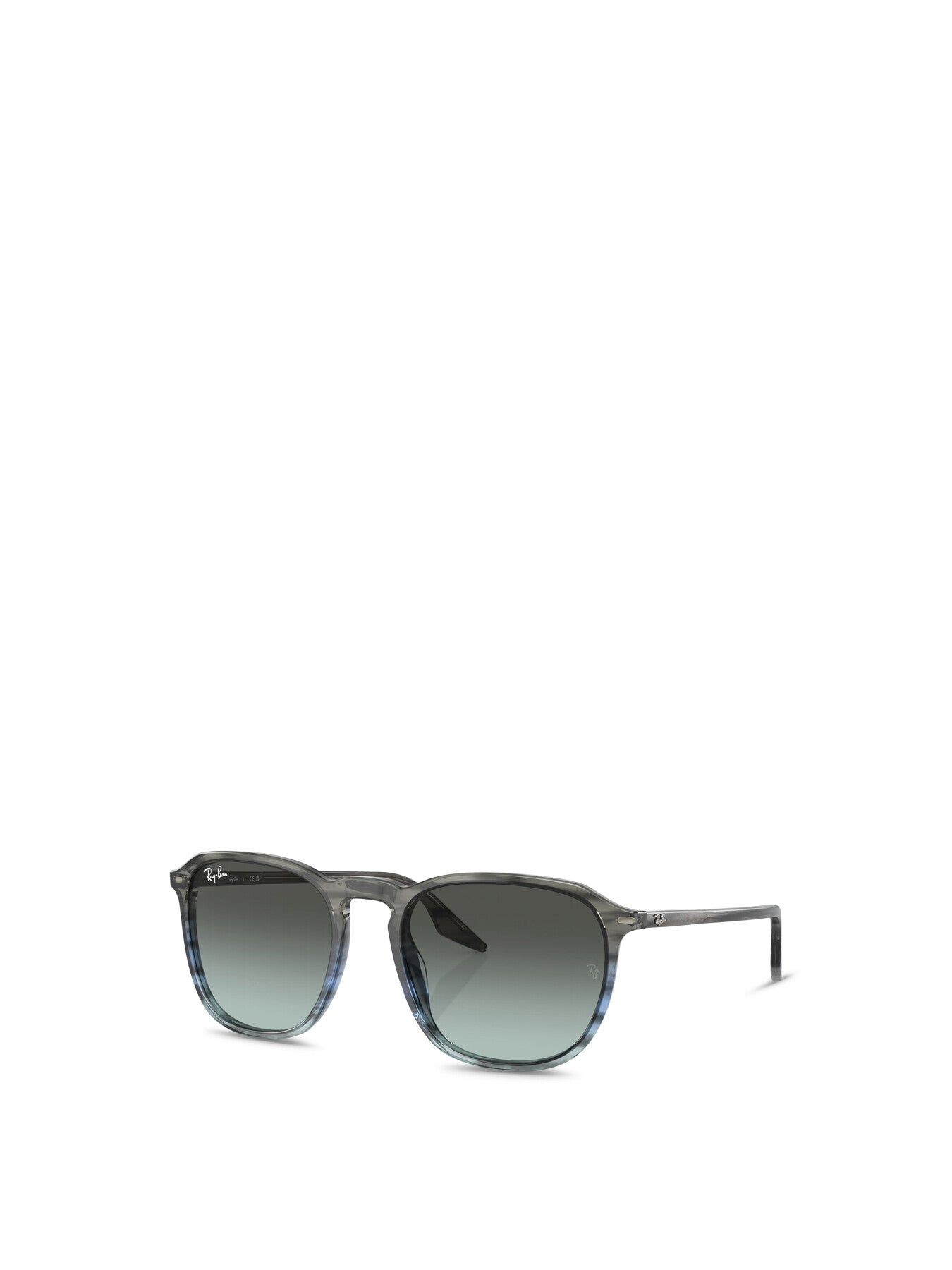 RB2203 Oval Acetate Sunglasses