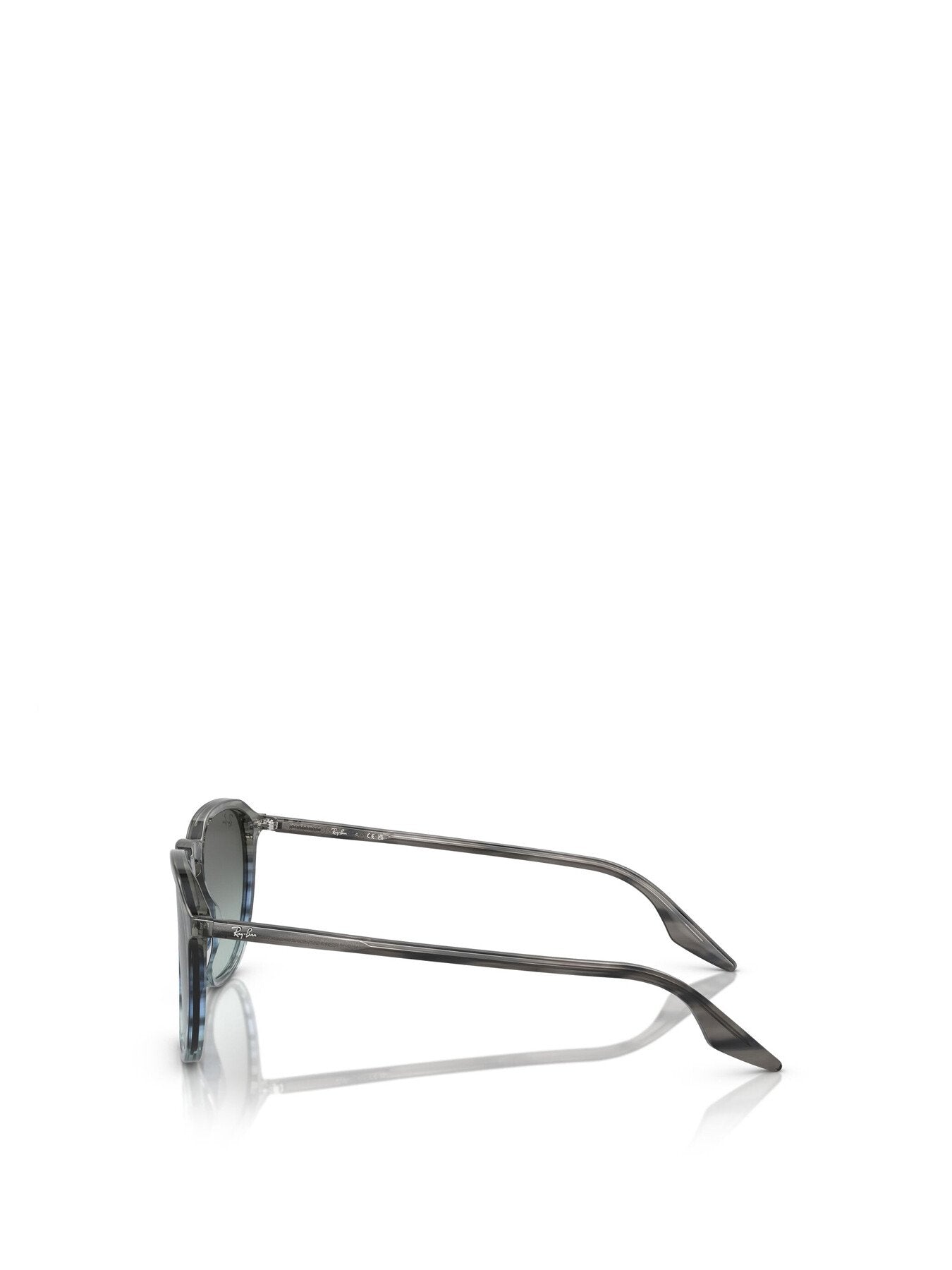RB2203 Oval Acetate Sunglasses
