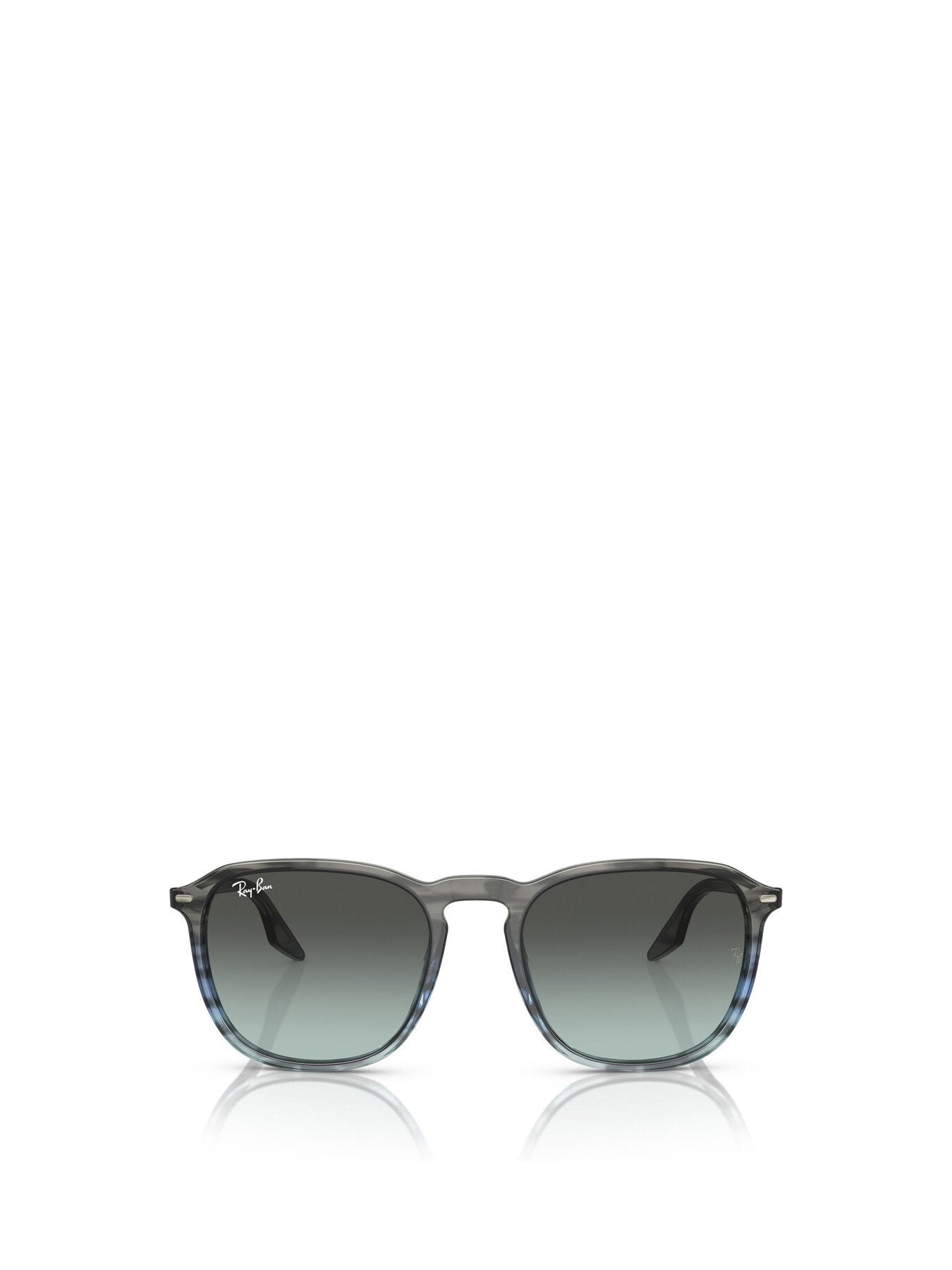 RB2203 Oval Acetate Sunglasses