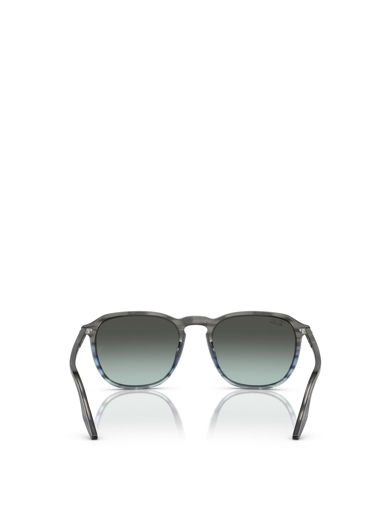 RB2203 Oval Acetate Sunglasses