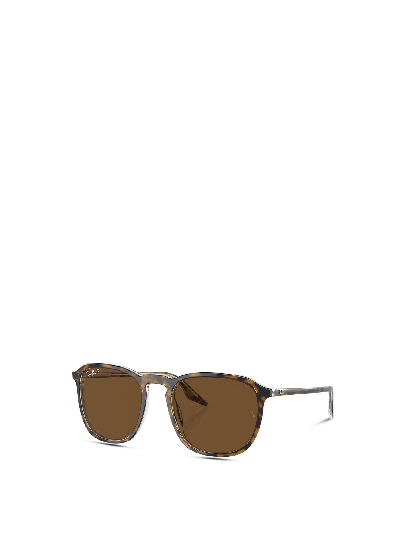RB2203 Oval Acetate Sunglasses