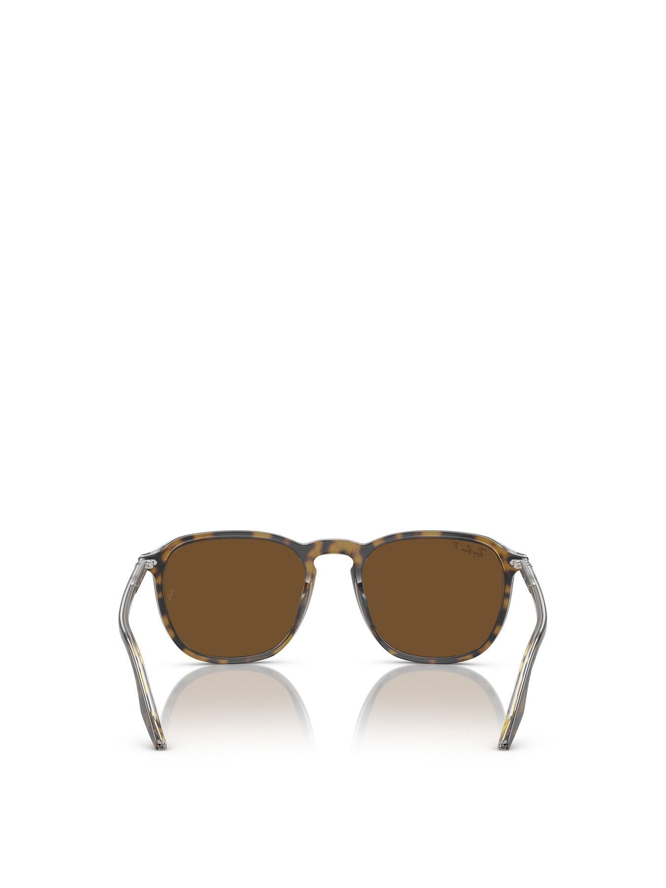 RB2203 Oval Acetate Sunglasses