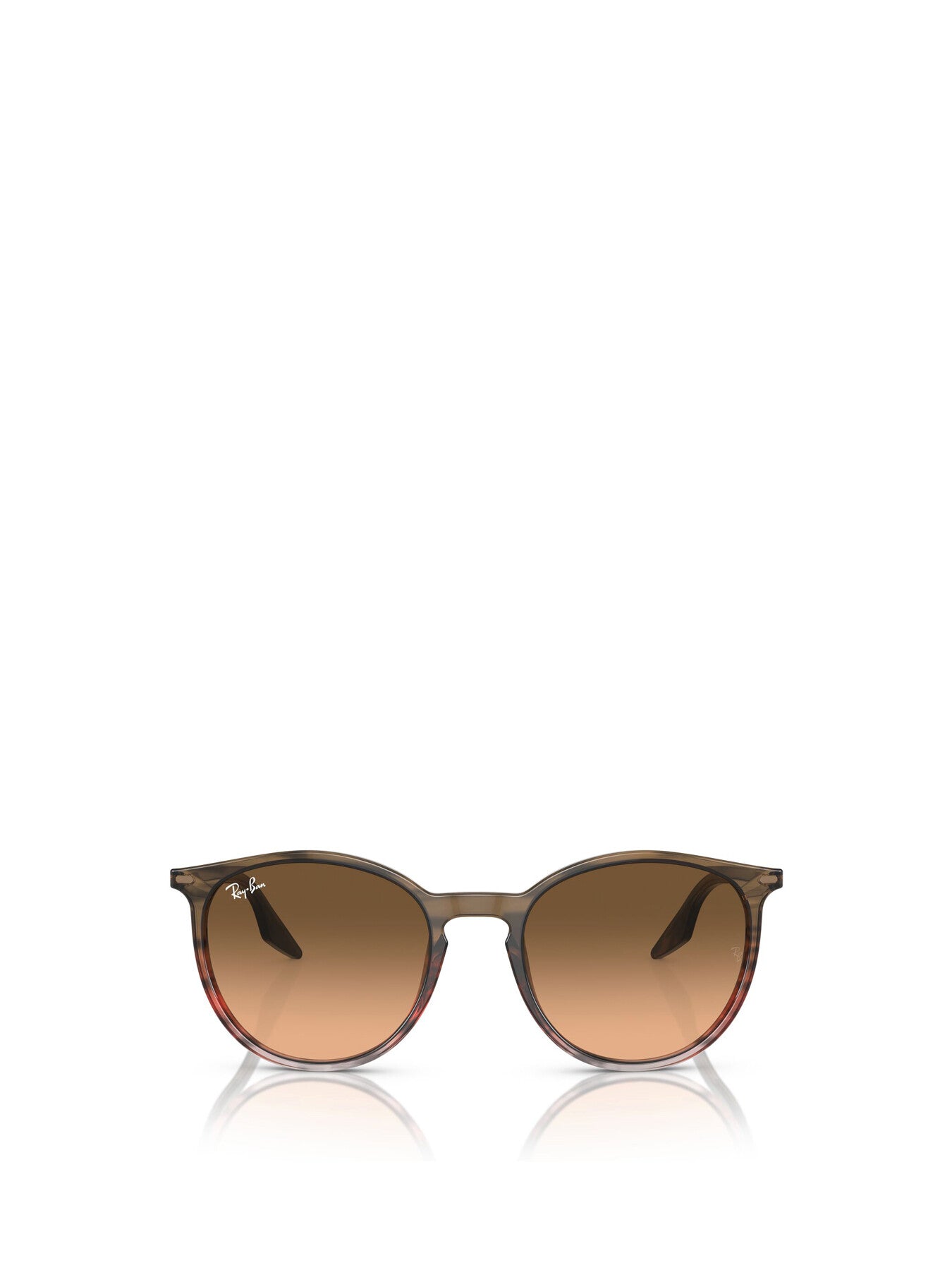 RB2204 Round Acetate Sunglasses