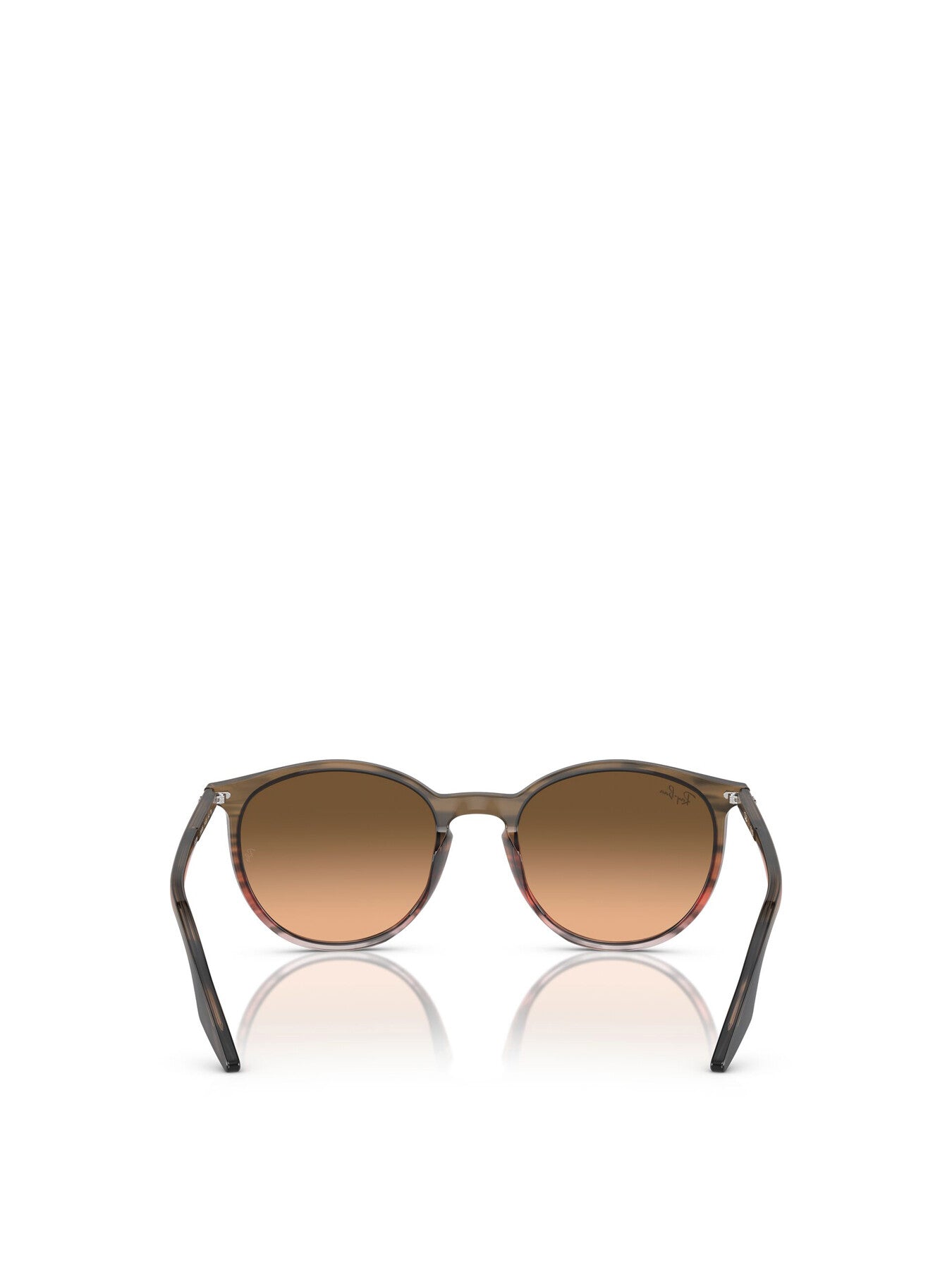 RB2204 Round Acetate Sunglasses