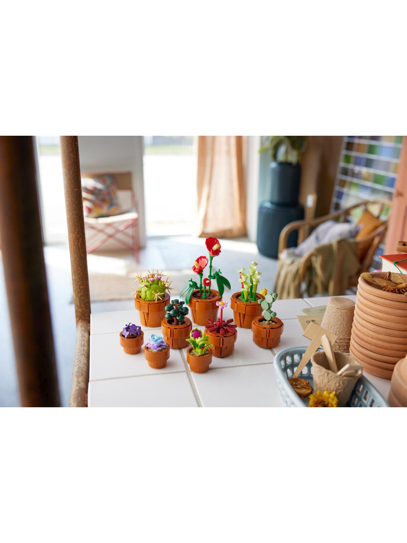Tiny Plants 10329