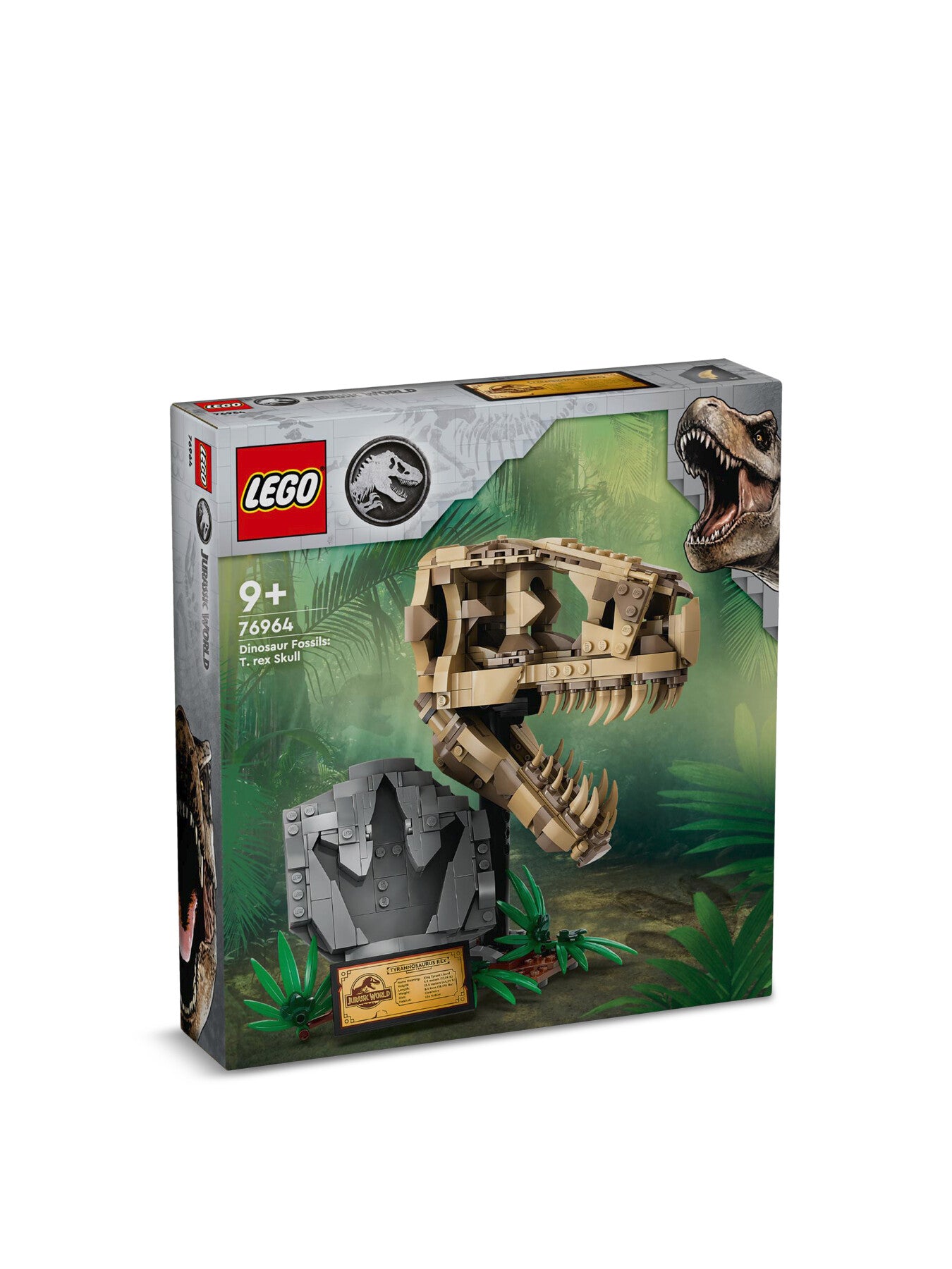 Dinosaur Fossils T. rex Skull 76964