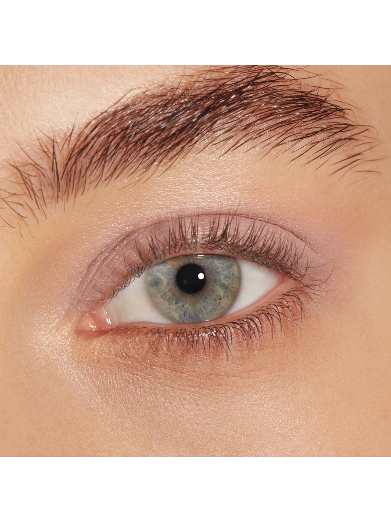 Chic Matte Mono Eyeshadow