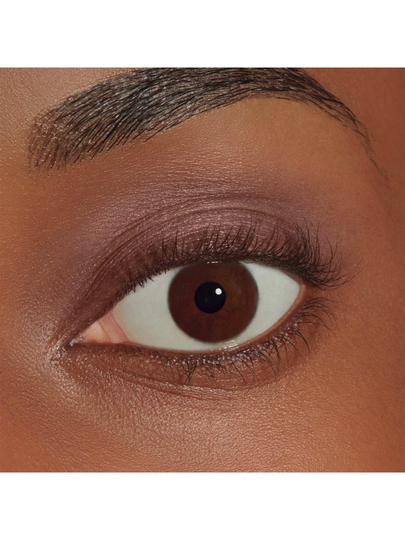 Chic Matte Mono Eyeshadow