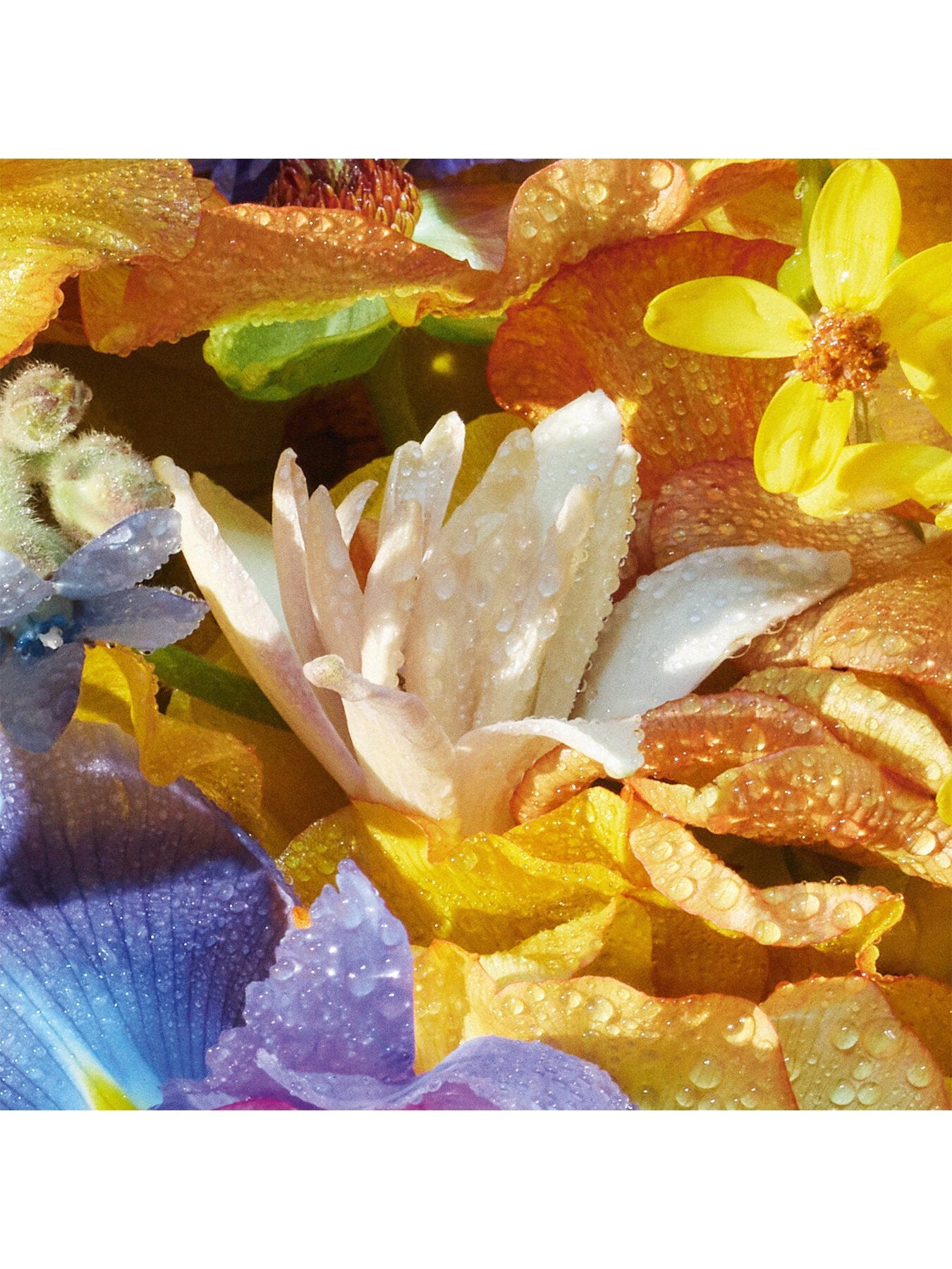 Aqua Allegoria Florabloom Eau de Toilette 125ml