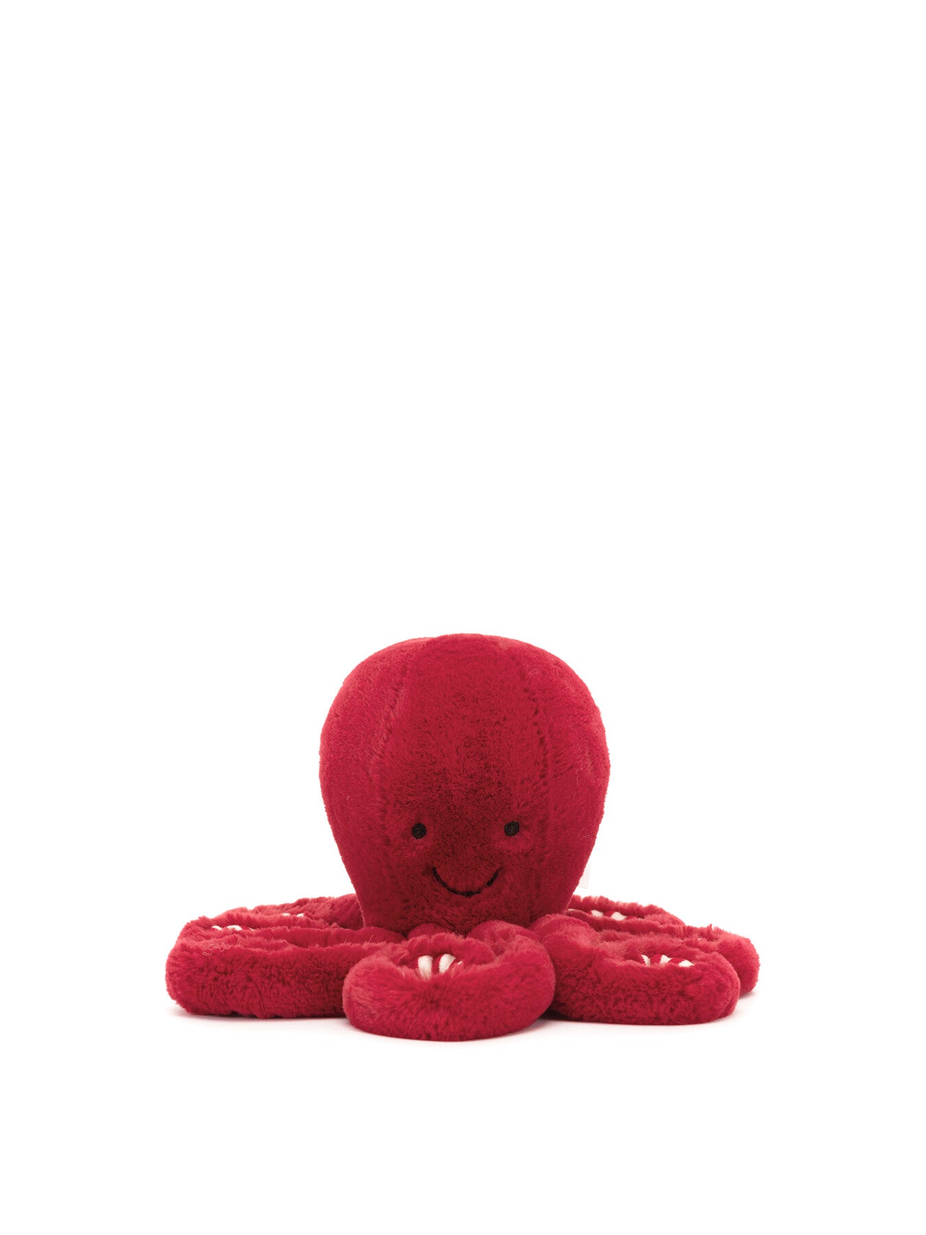 Cranberry Octopus Small