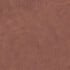 Polo Brown