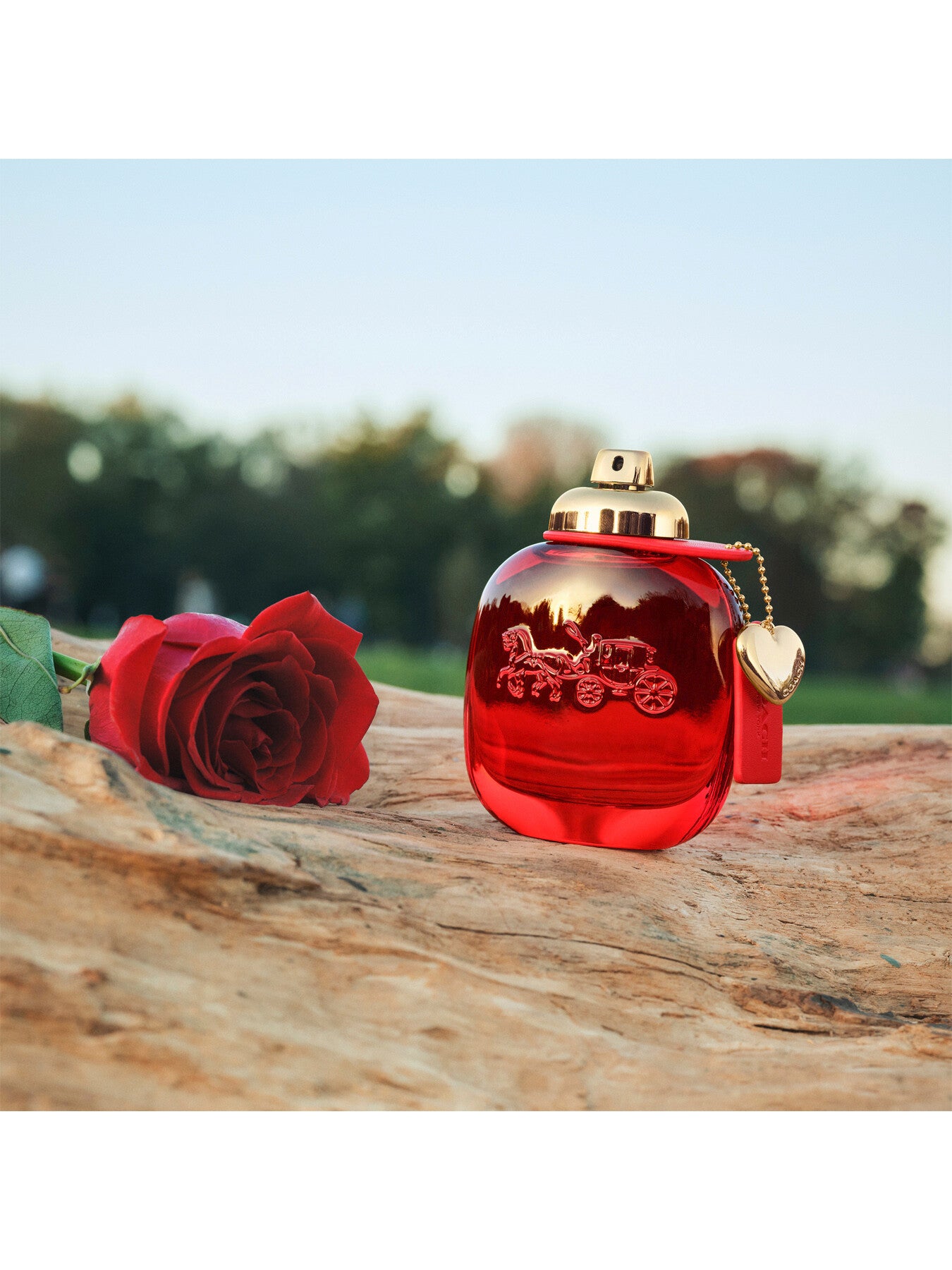 Coach Love Eau de Parfum 90ml