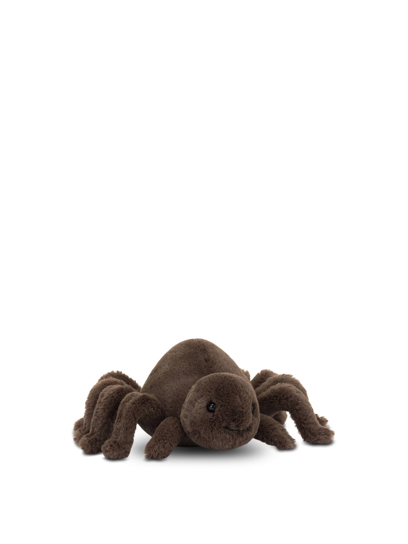 Ooky Spider
