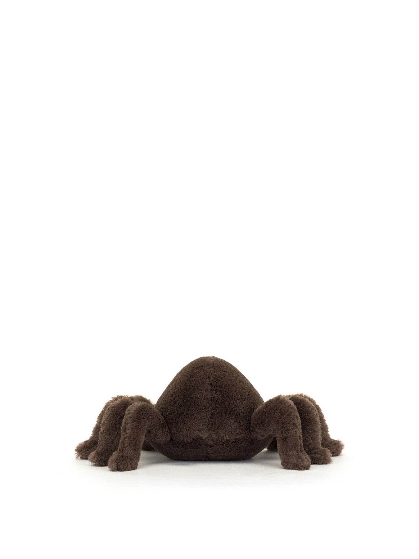 Ooky Spider