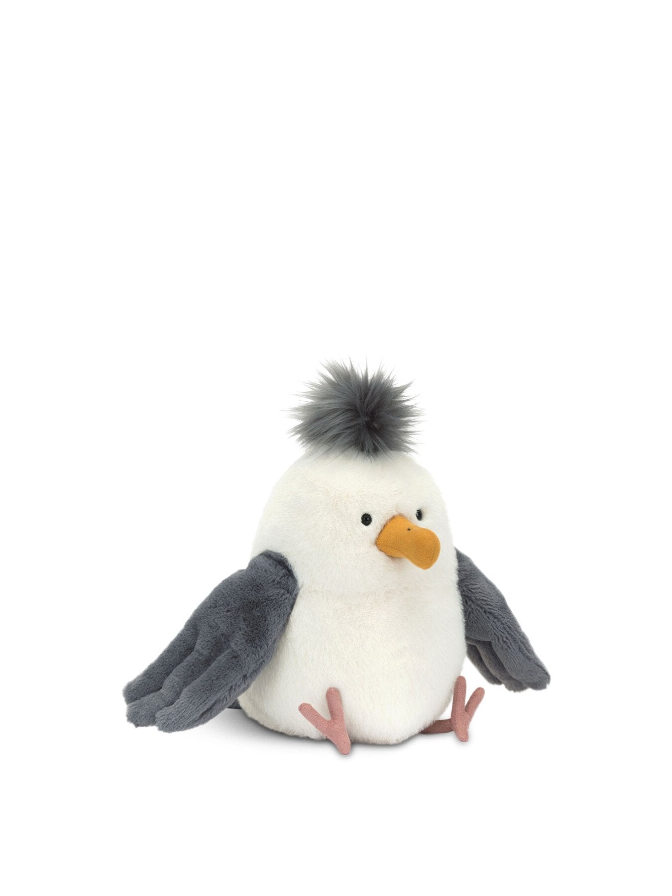 Chip Seagull