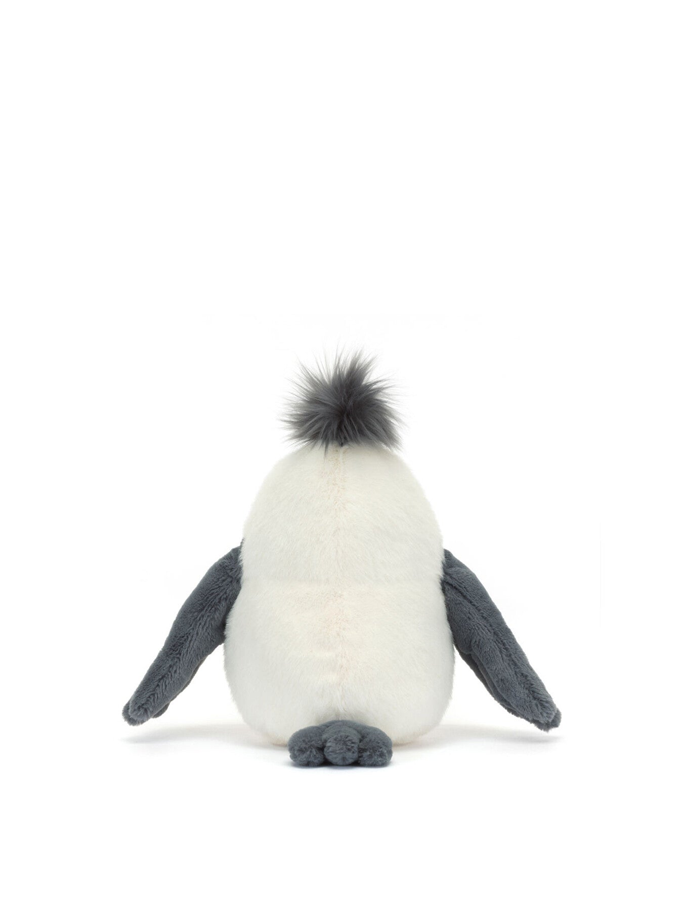 Chip Seagull